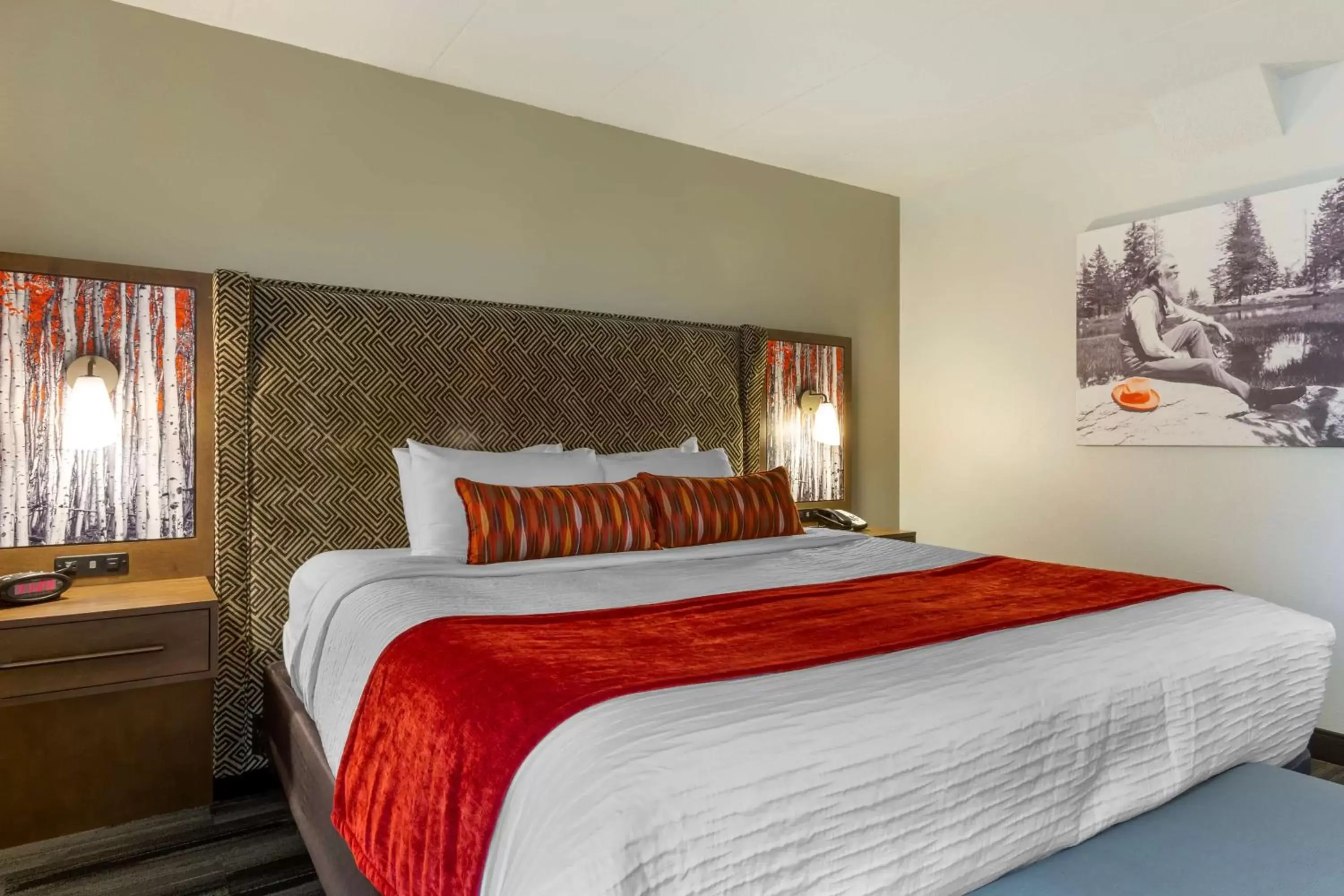 King Room - Disability Access in Best Western Plus McCall Lodge and Suites King Room - Disability Access in Best Western Plus McCall Lodge and Suites