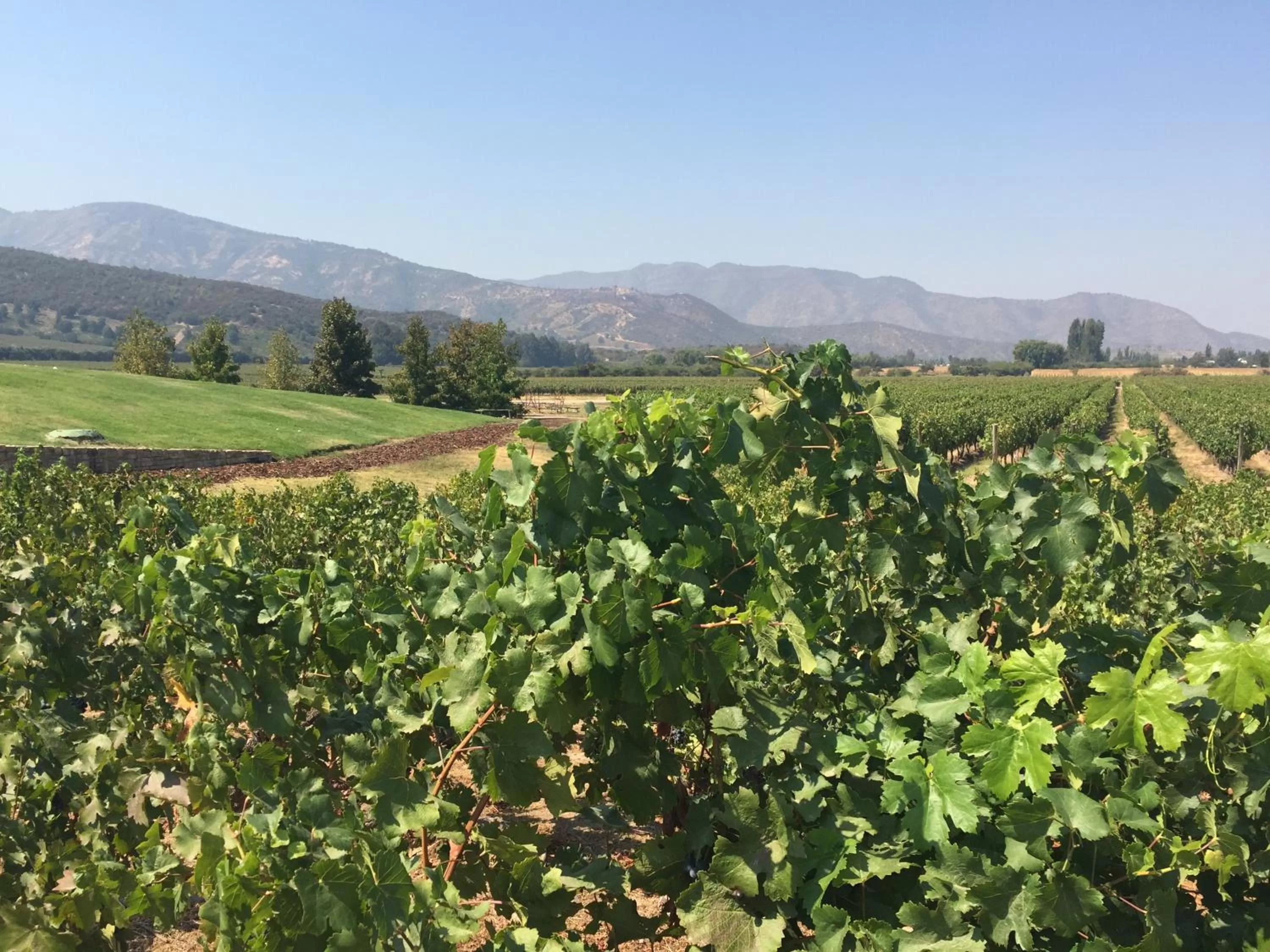 Nearby landmark in Hotel Casa De Campo