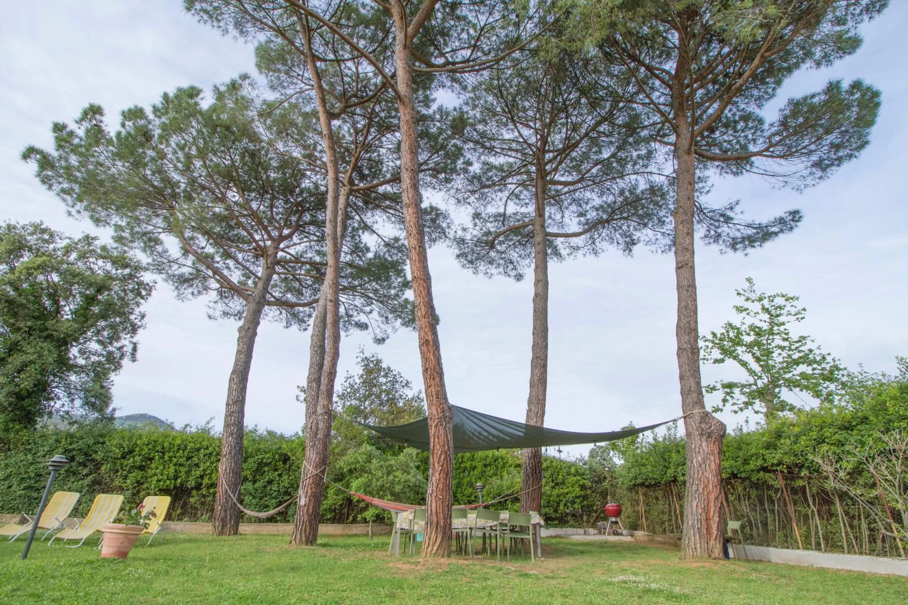 Garden in B&B PALAZZI