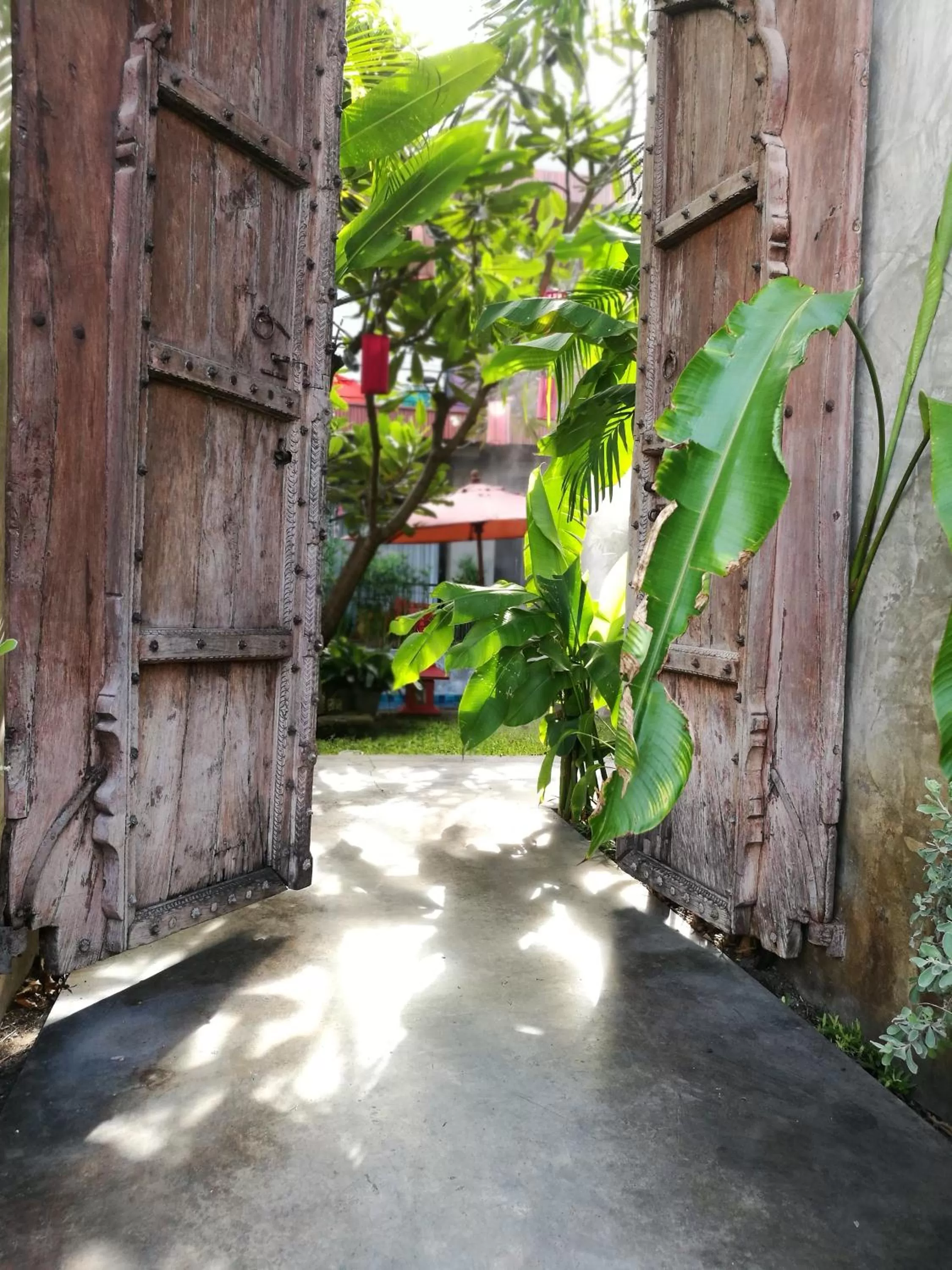 Garden in Villa Thapae