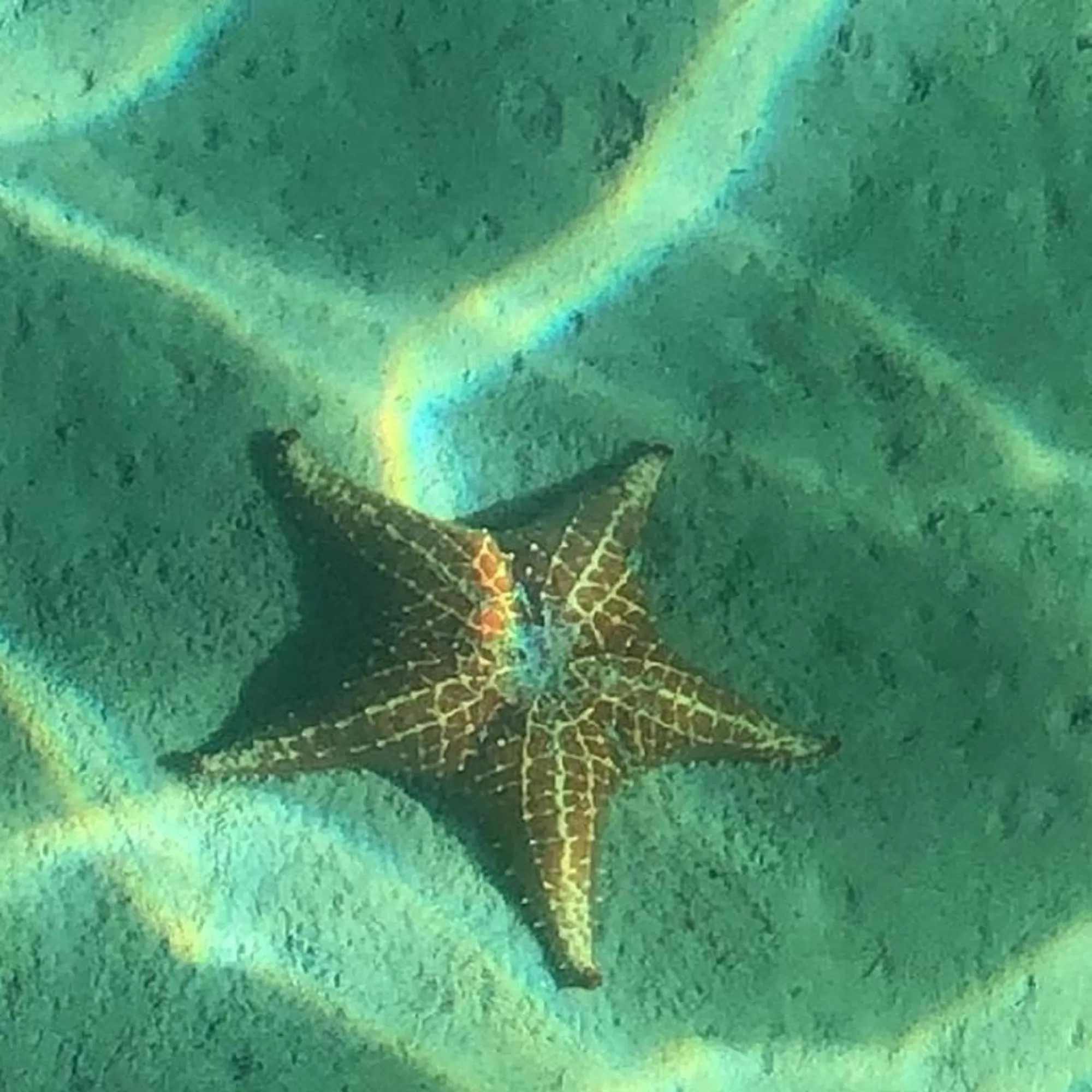 Natural landscape, Other Animals in RIVA B&B