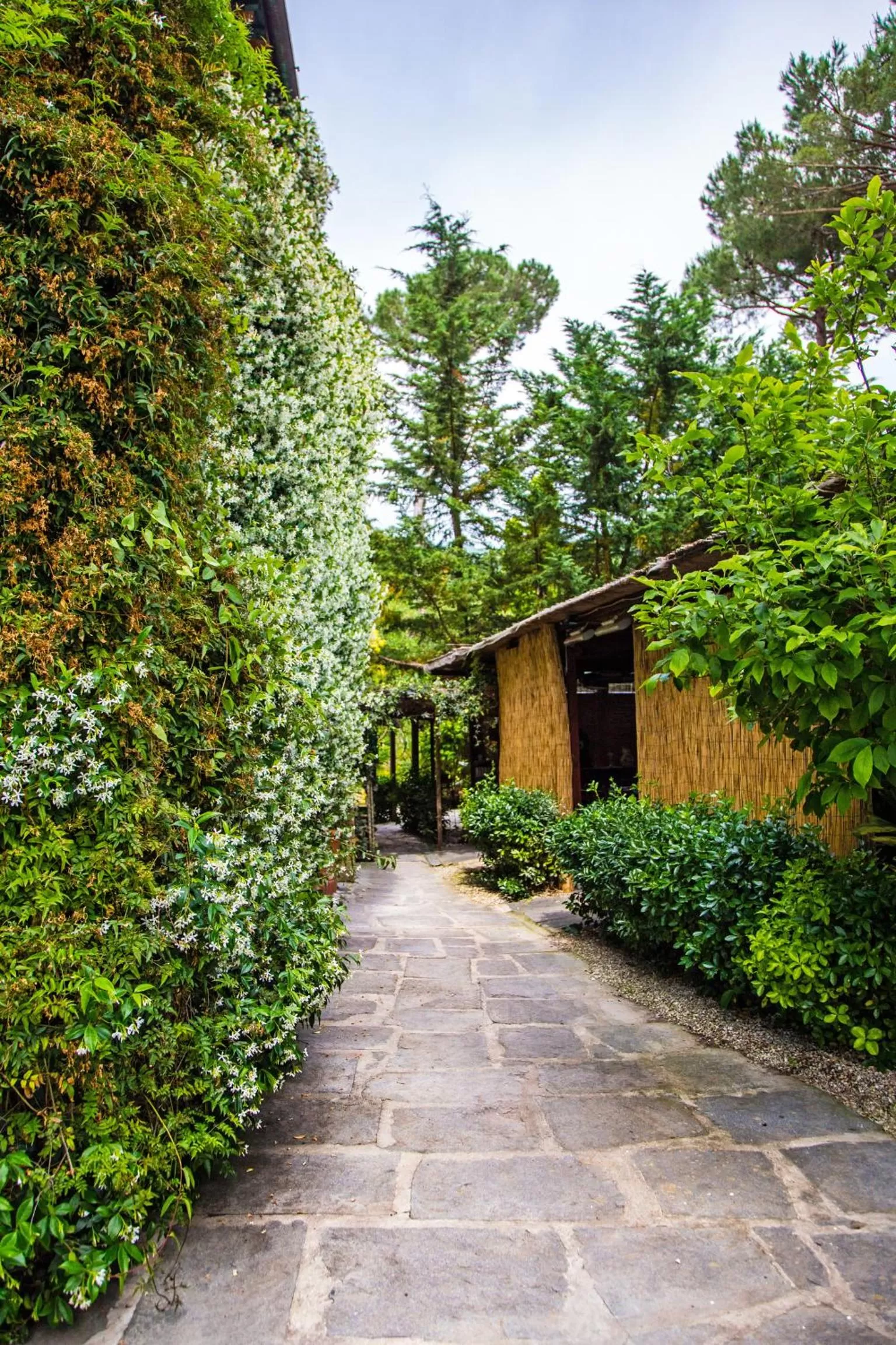 Patio in Casa Matilde