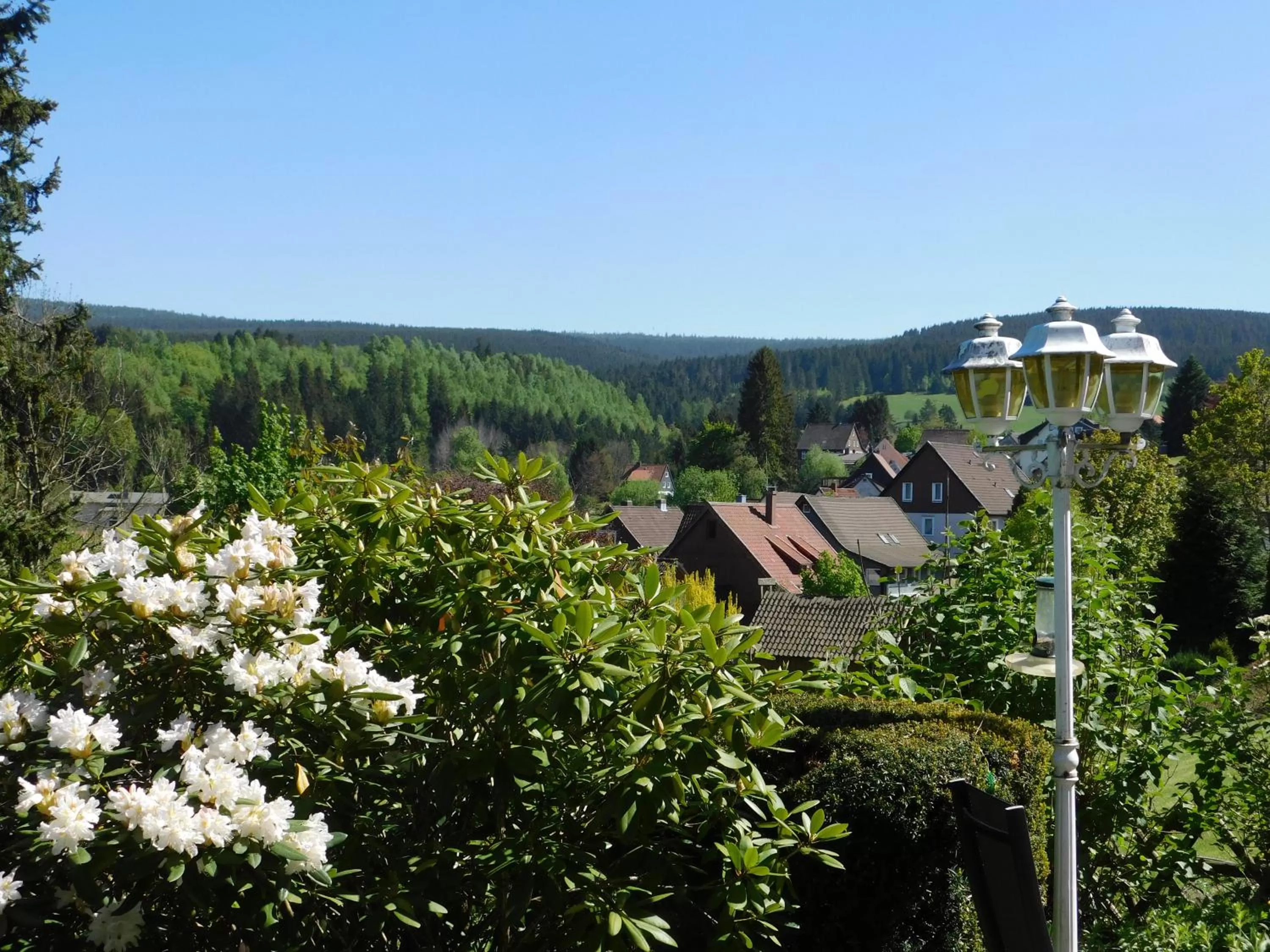 Garden view in Pension Haus Petra