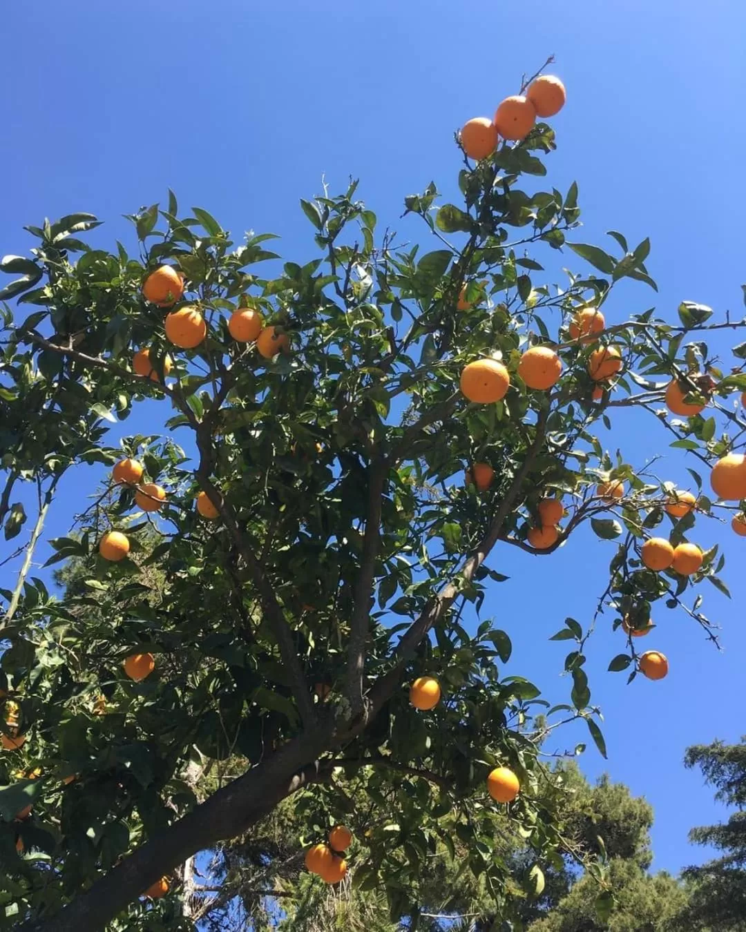 B&B Casa Maria Vittoria