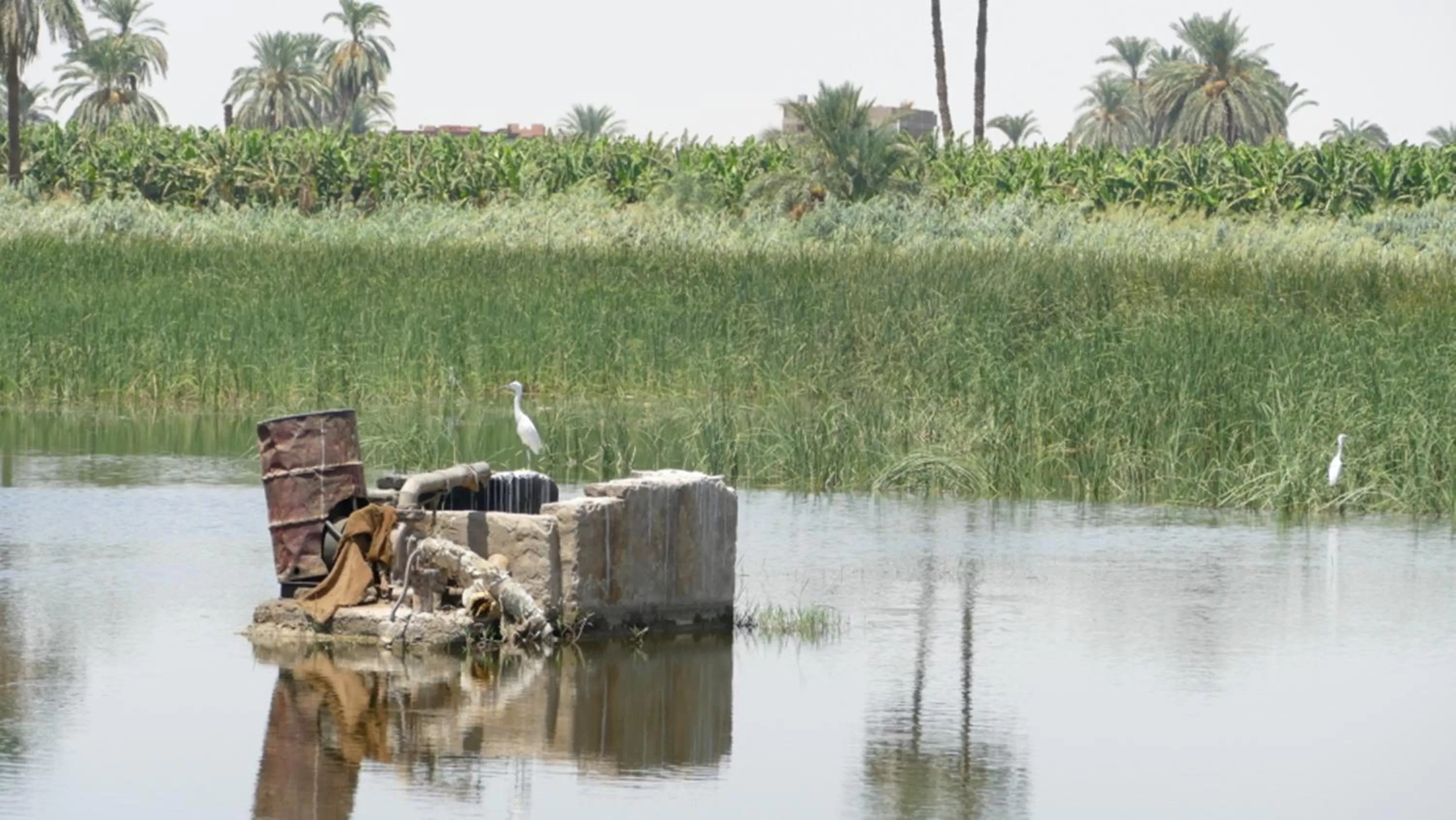 Mama Africa Apts & Studios