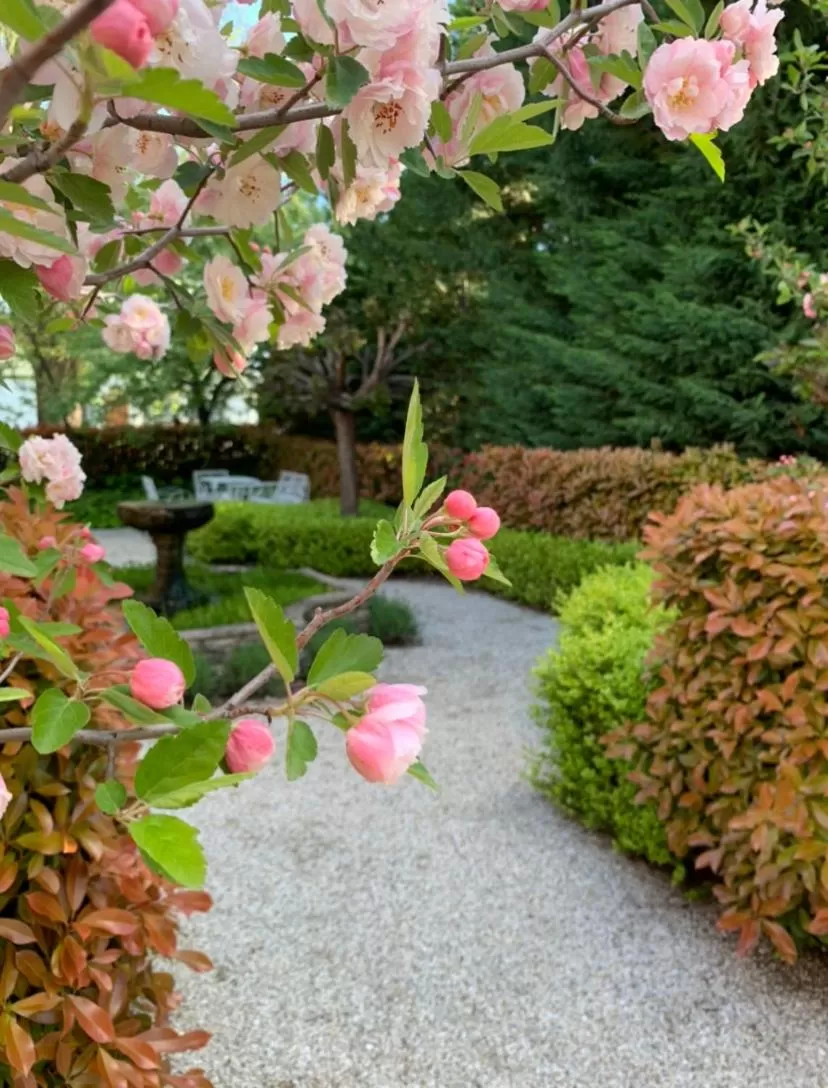 Garden in Howlong Old Post Office Luxury Suite