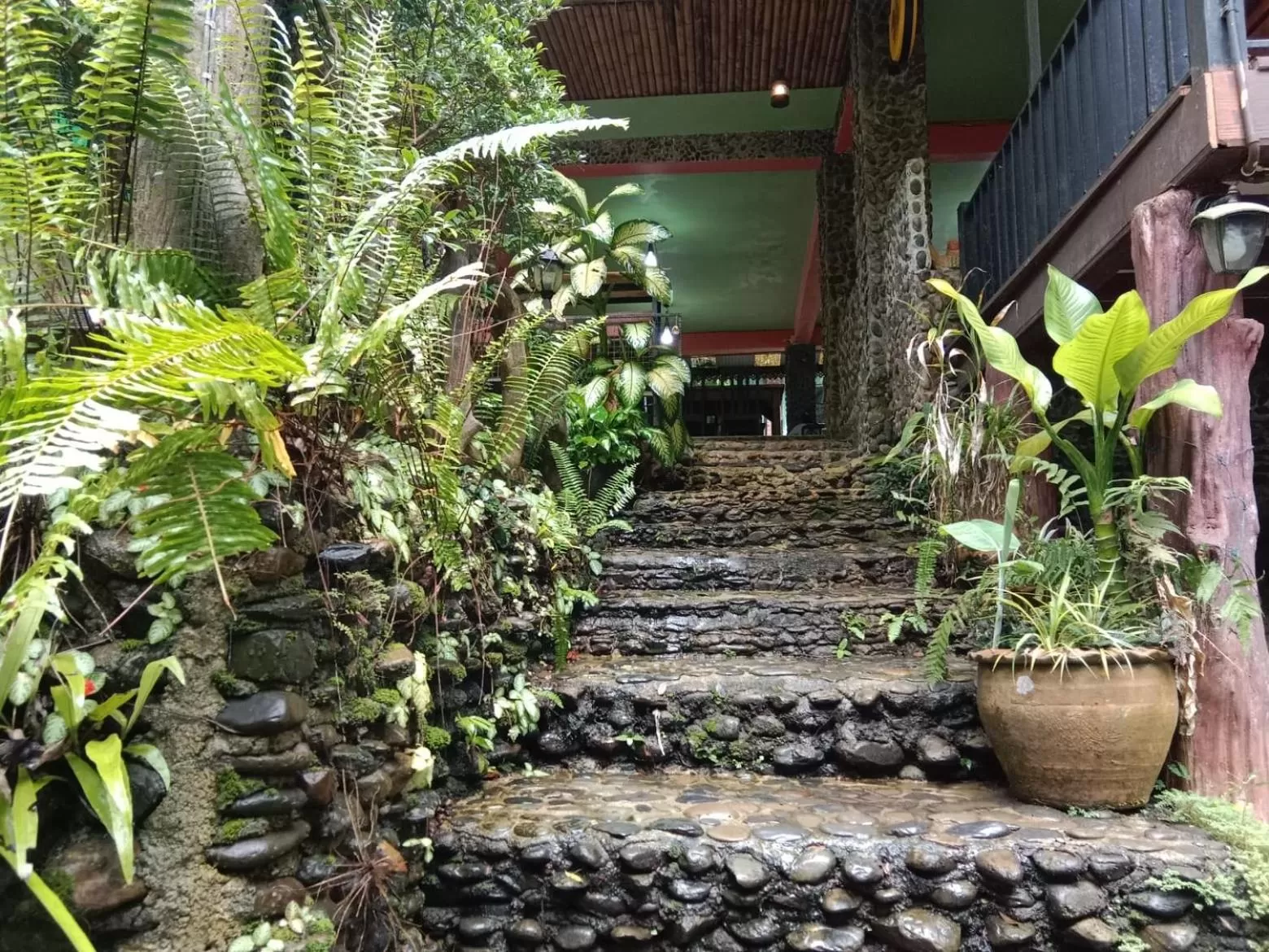 Tree Tops River Huts