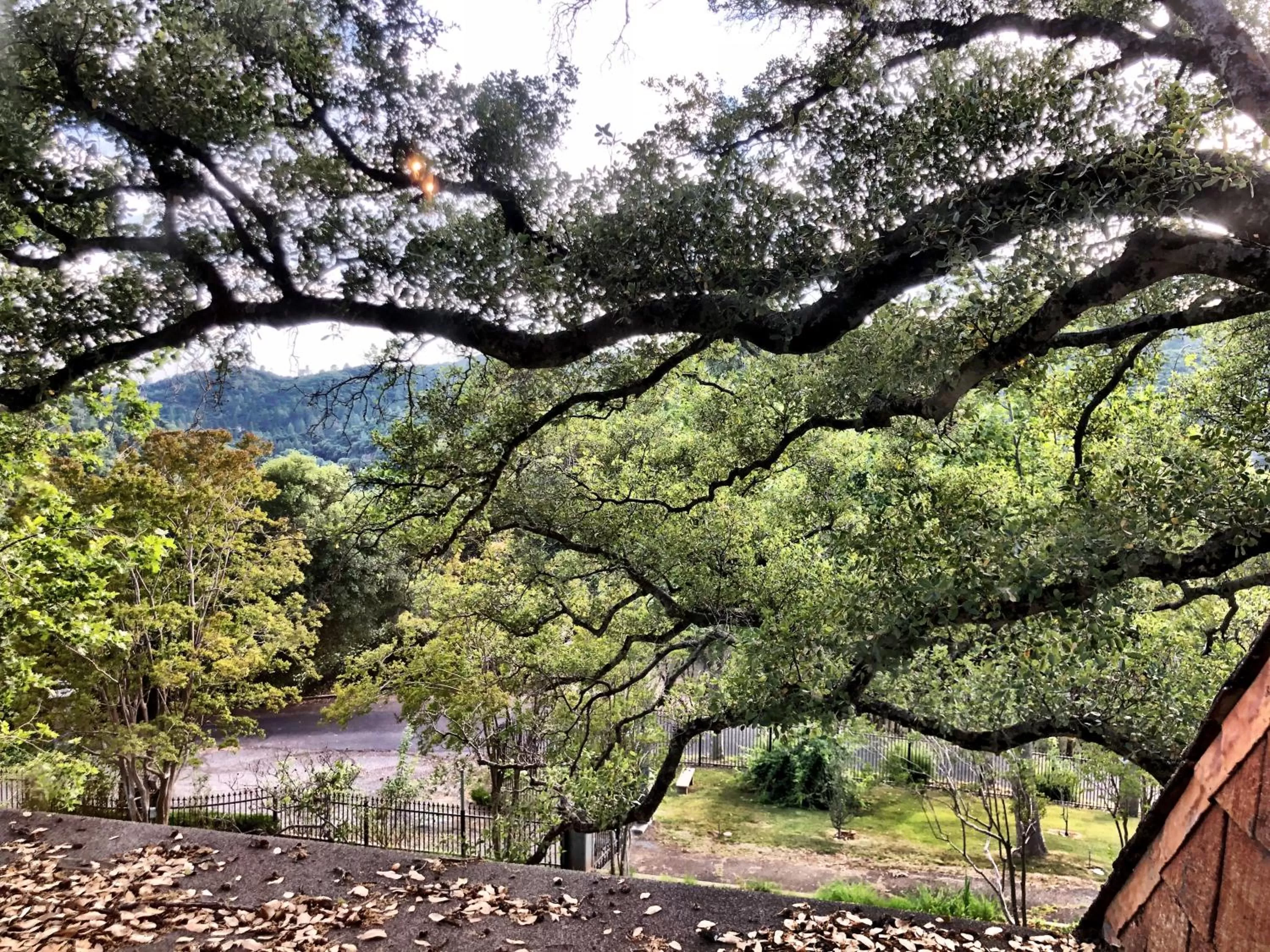 Natural landscape in The Inn on Knowles Hill Bed & Breakfast Hotel