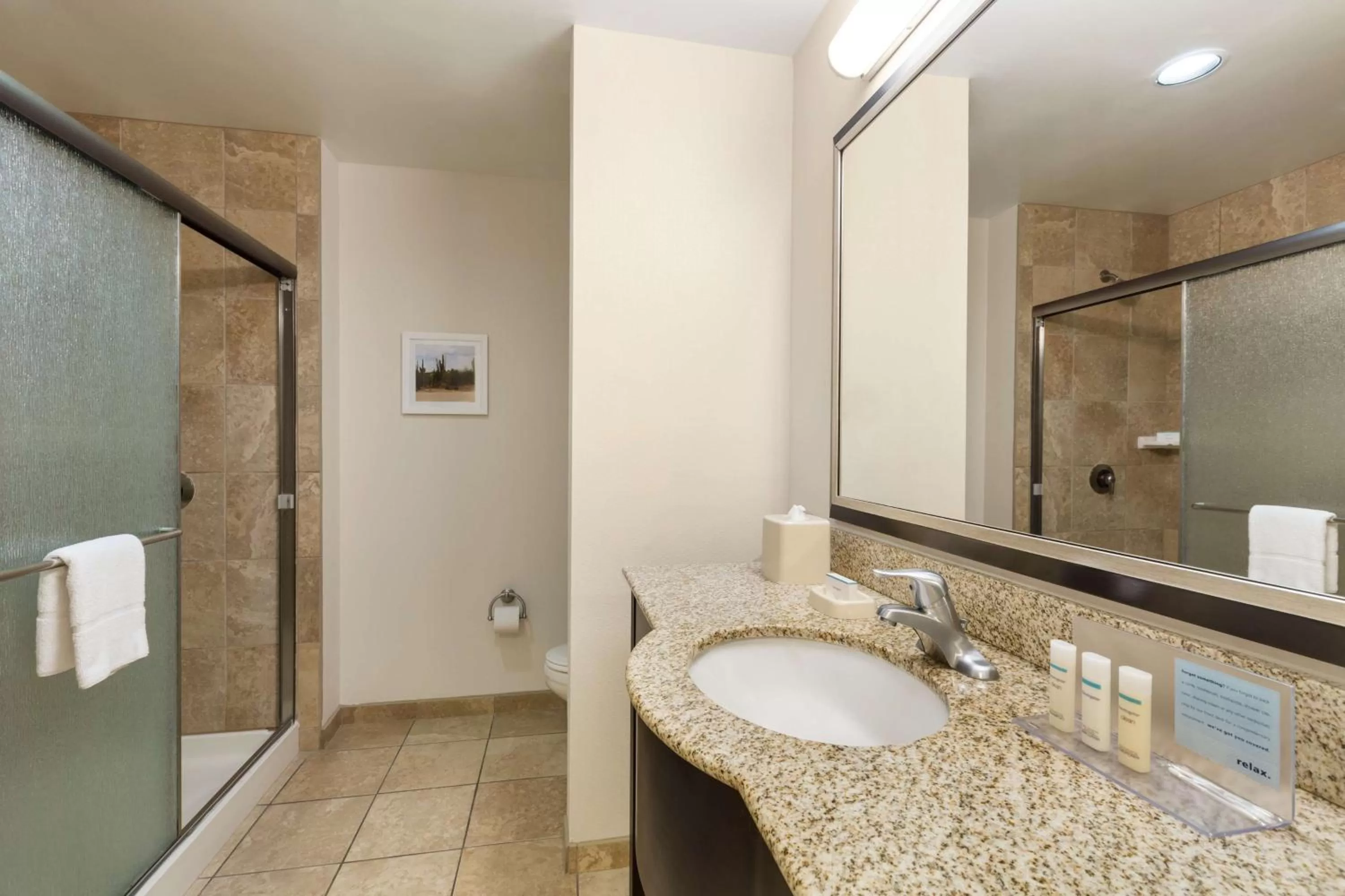 Bathroom in Hampton Inn & Suites Phoenix Glendale-Westgate