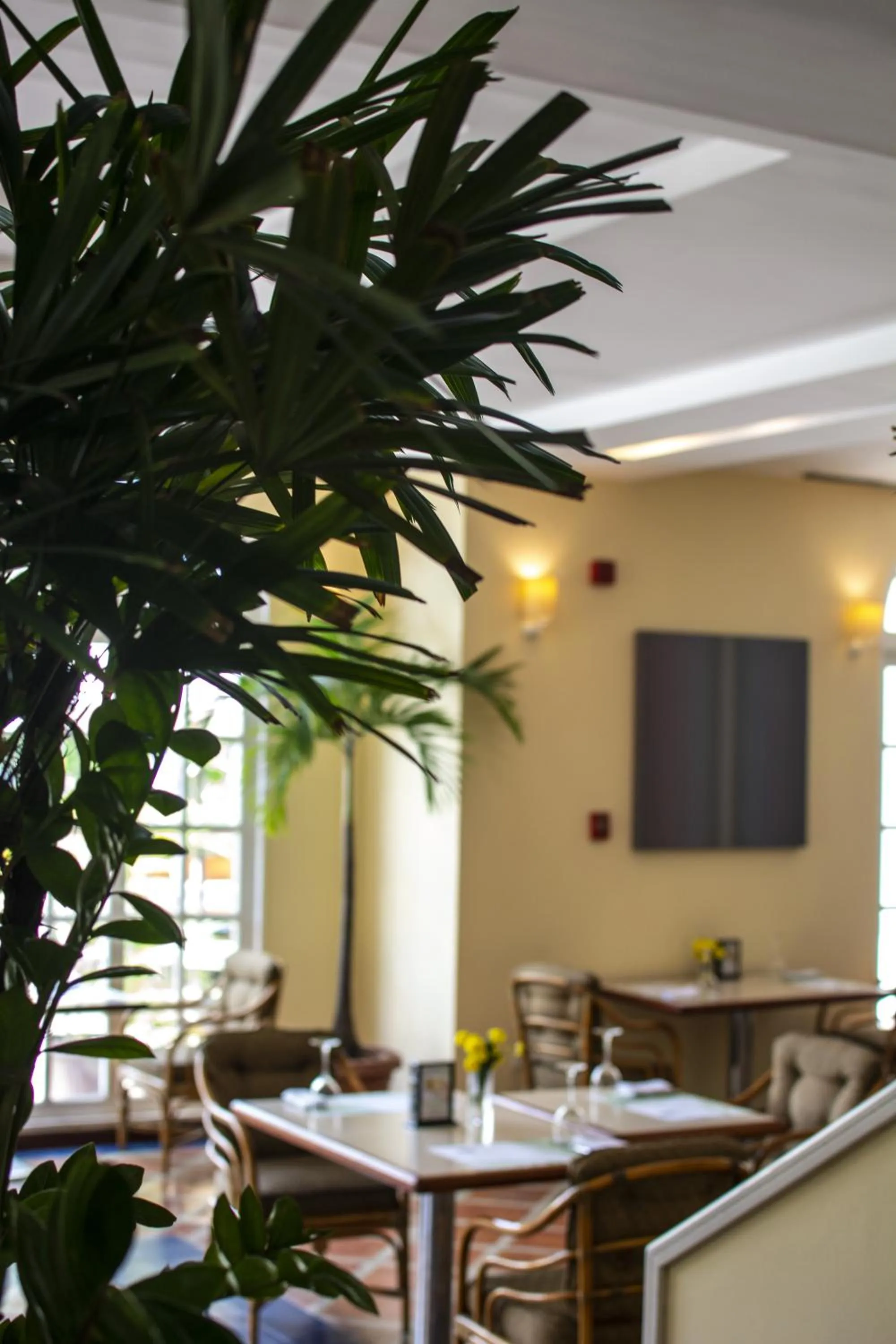 Restaurant/places to eat in Hotel Tamanaco Caracas