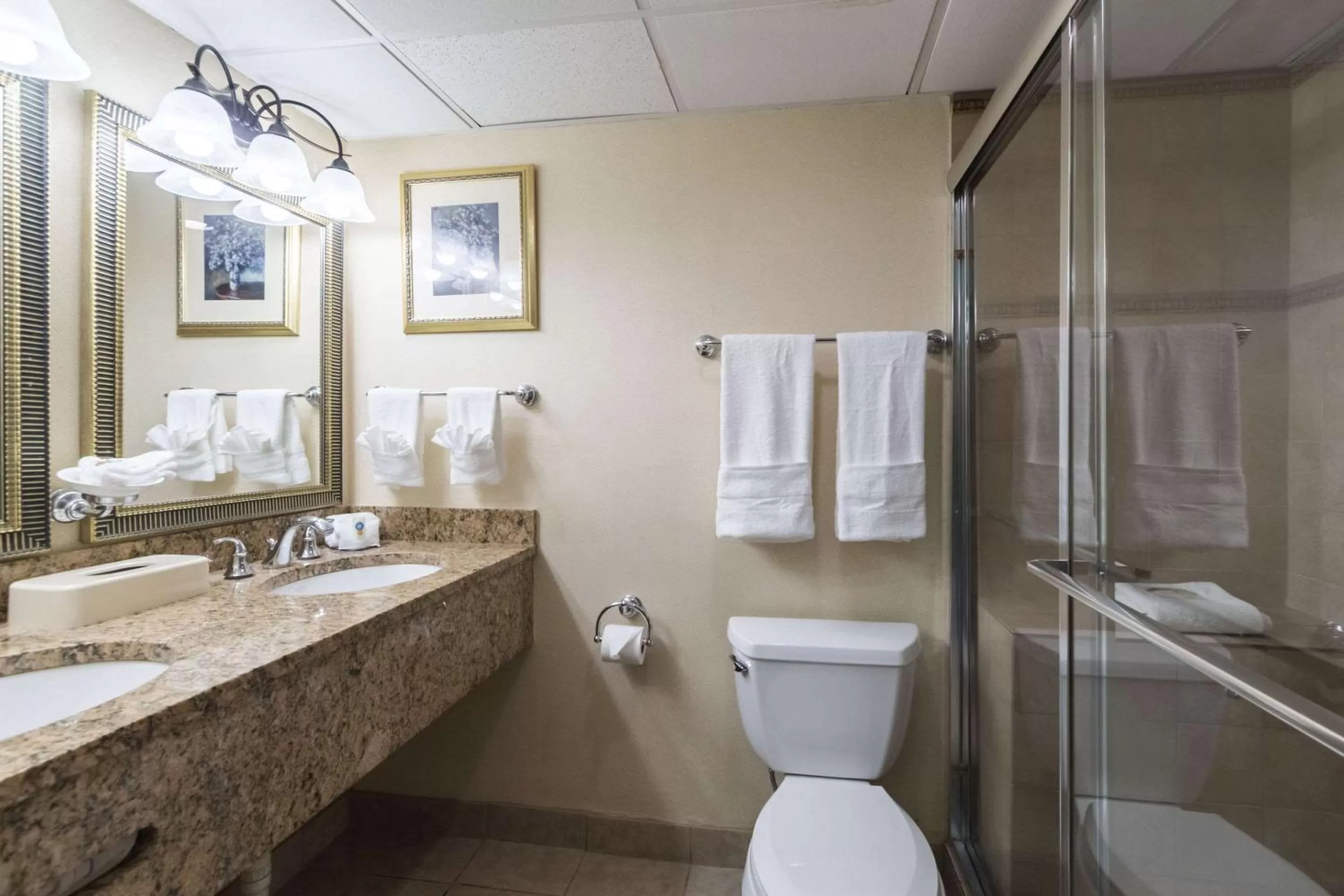 Bathroom in Quality Inn & Suites Conference Center West Chester