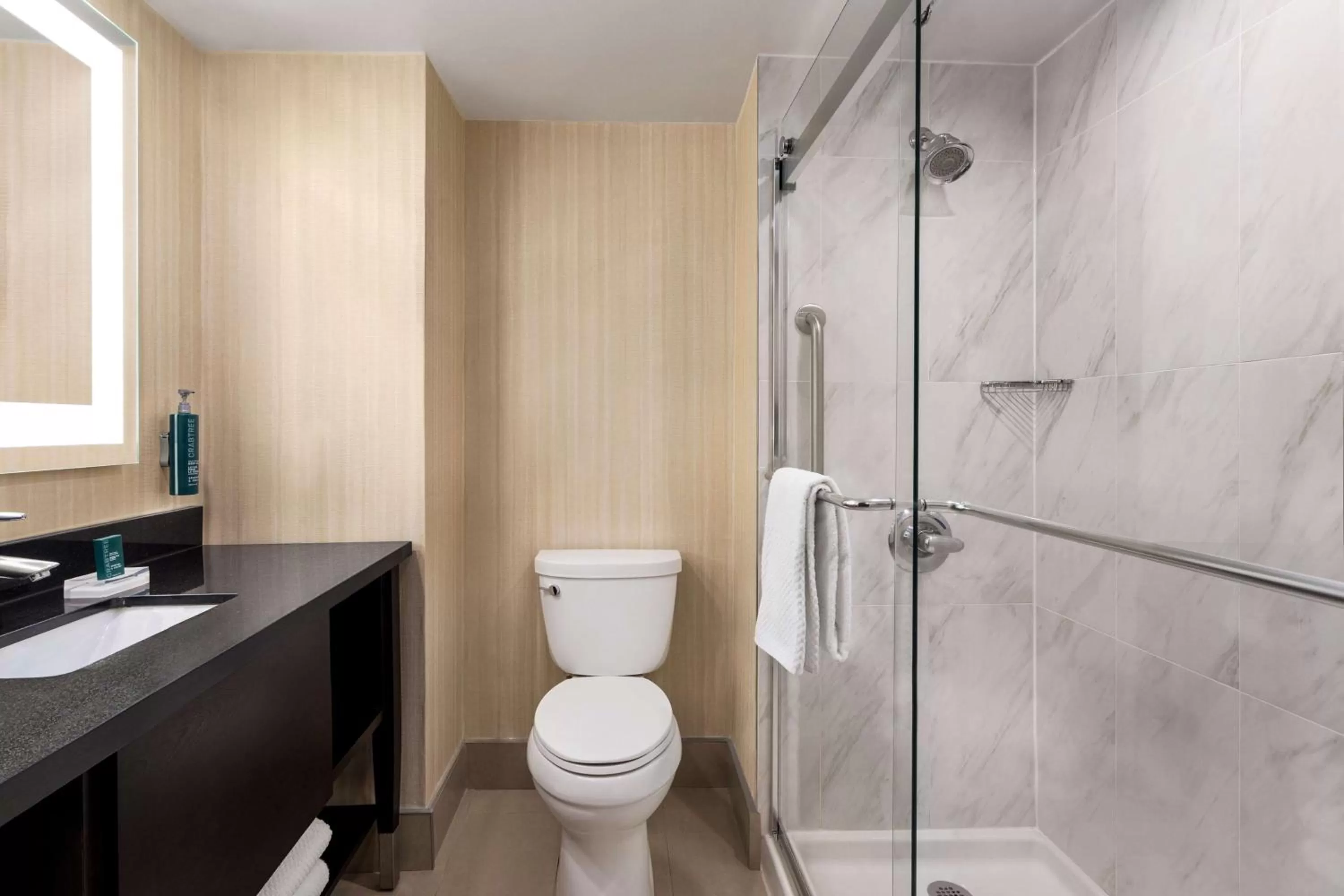 Bathroom in Doubletree By Hilton Pointe Claire Montreal Airport West