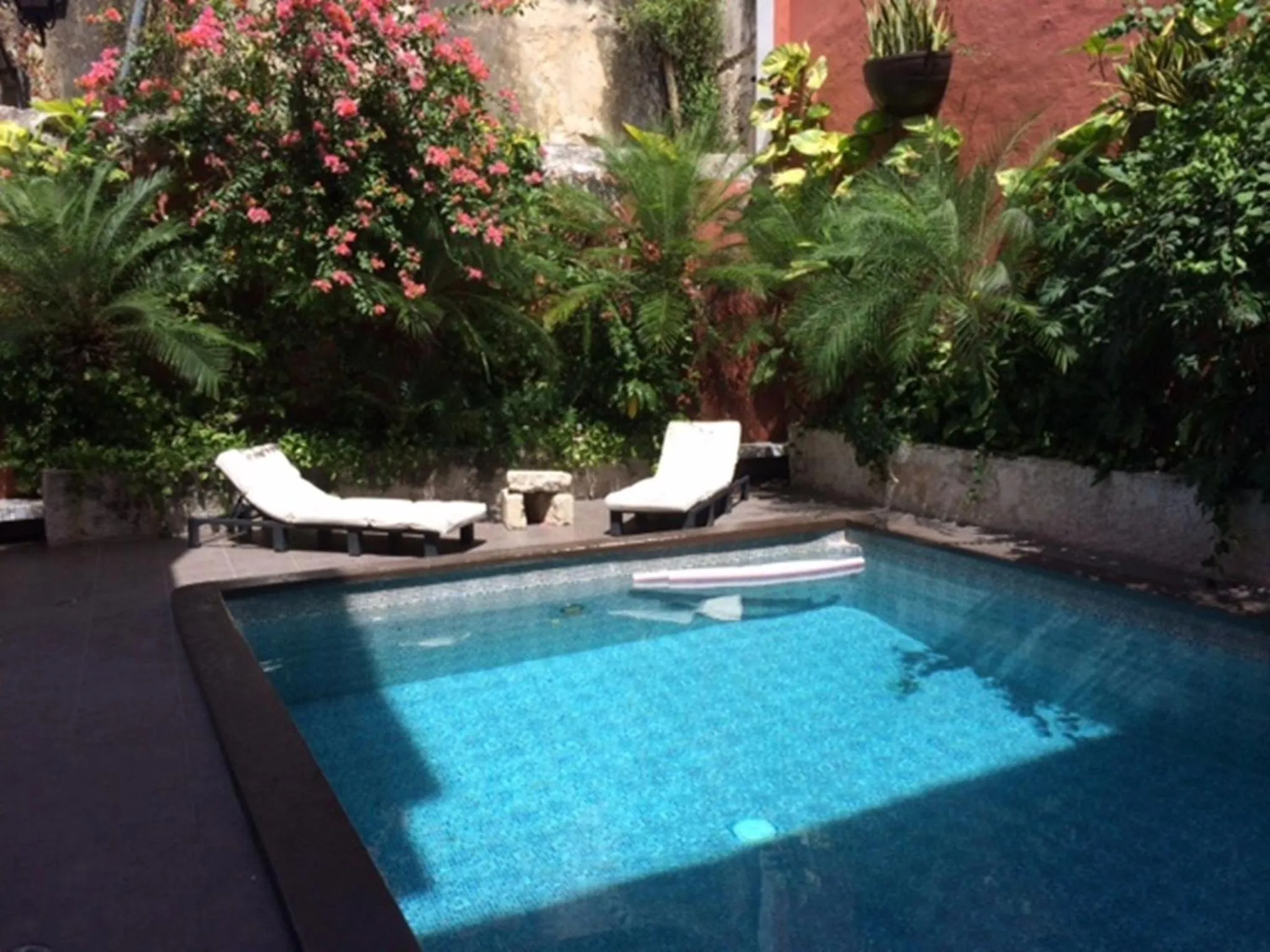 Swimming pool in Hotel Reforma