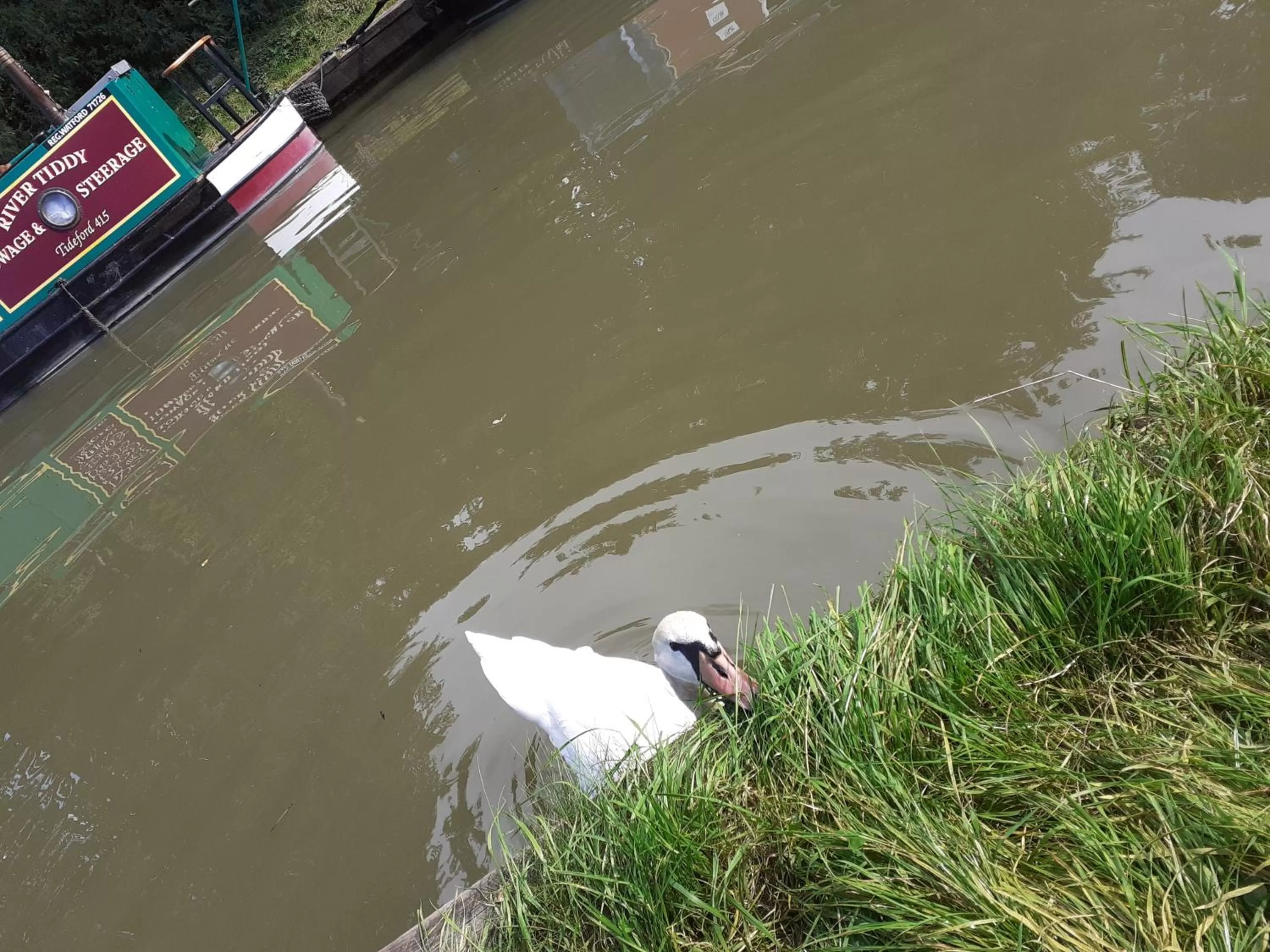 Garden in The Barge Inn