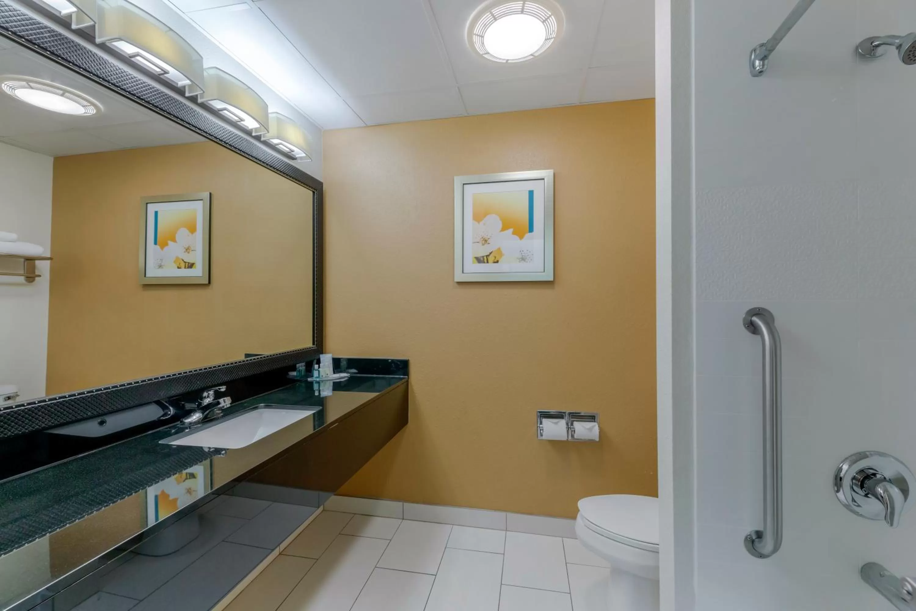 Bathroom in Quality Inn & Suites Sandusky