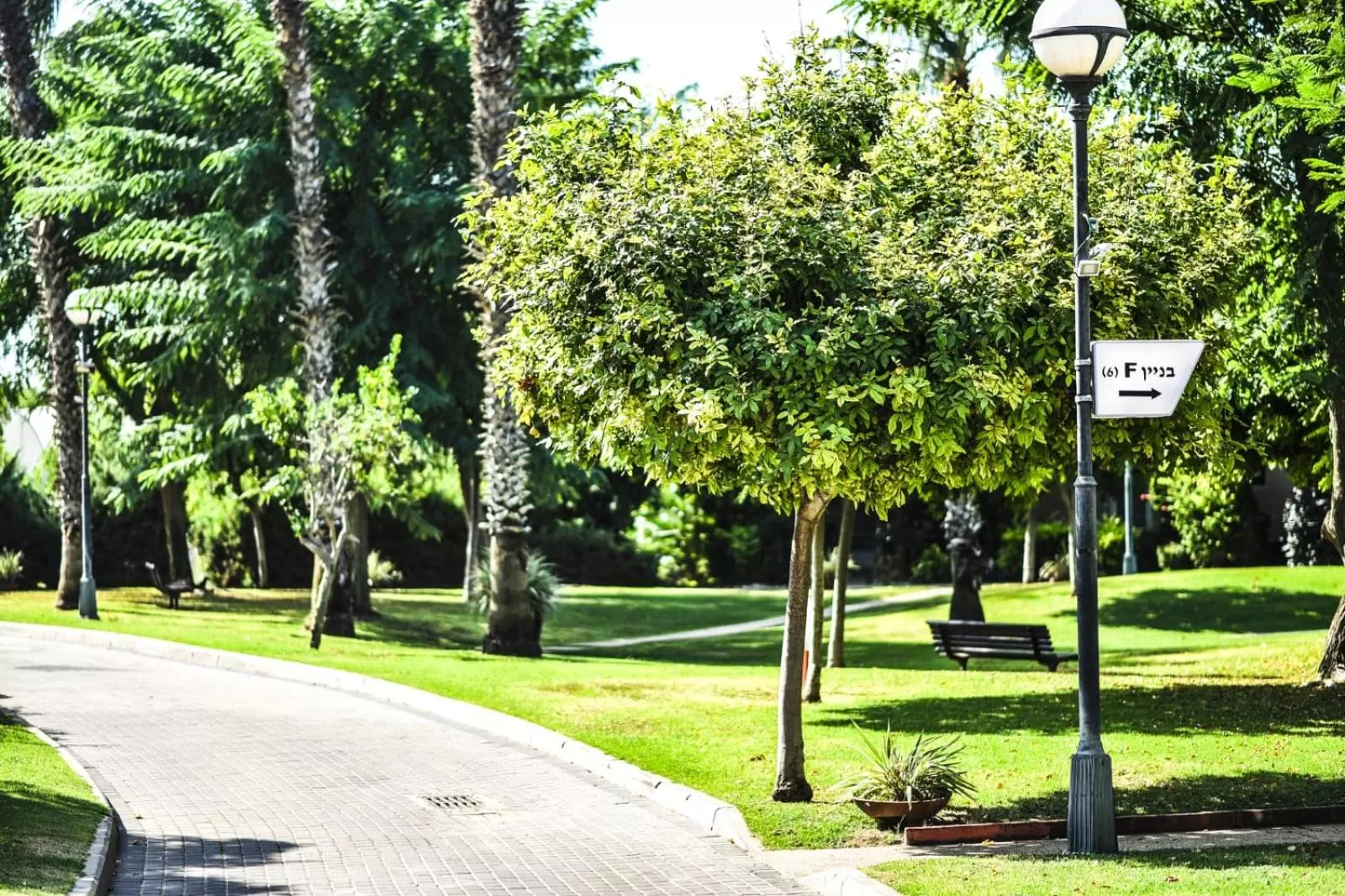 Suite Marina Caesarea