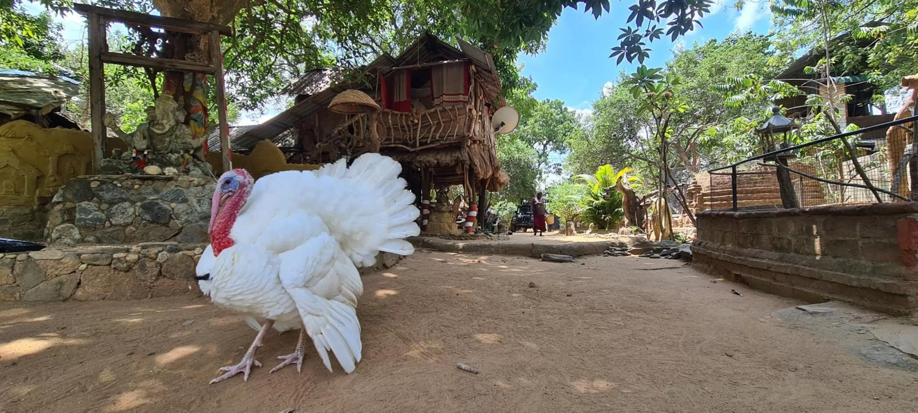 Jungle river humbhaha hostel