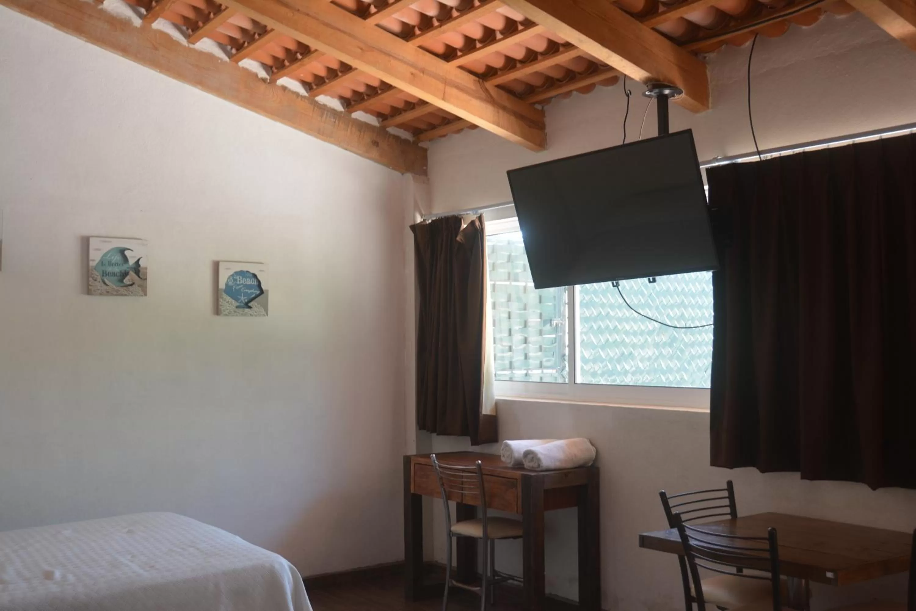 TV and multimedia in Acapulco Amor