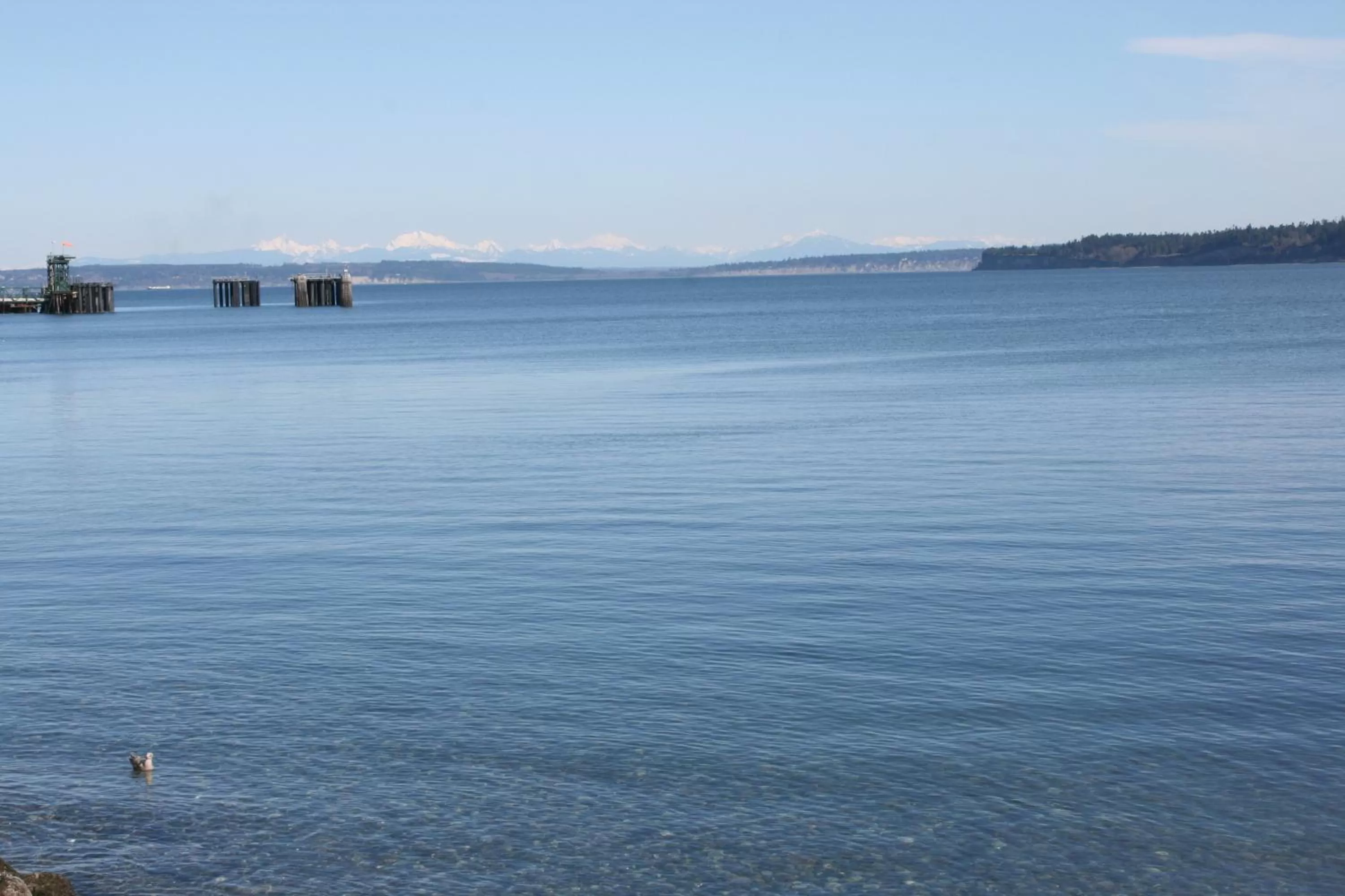 View (from property/room) in Tides Inn & Suites
