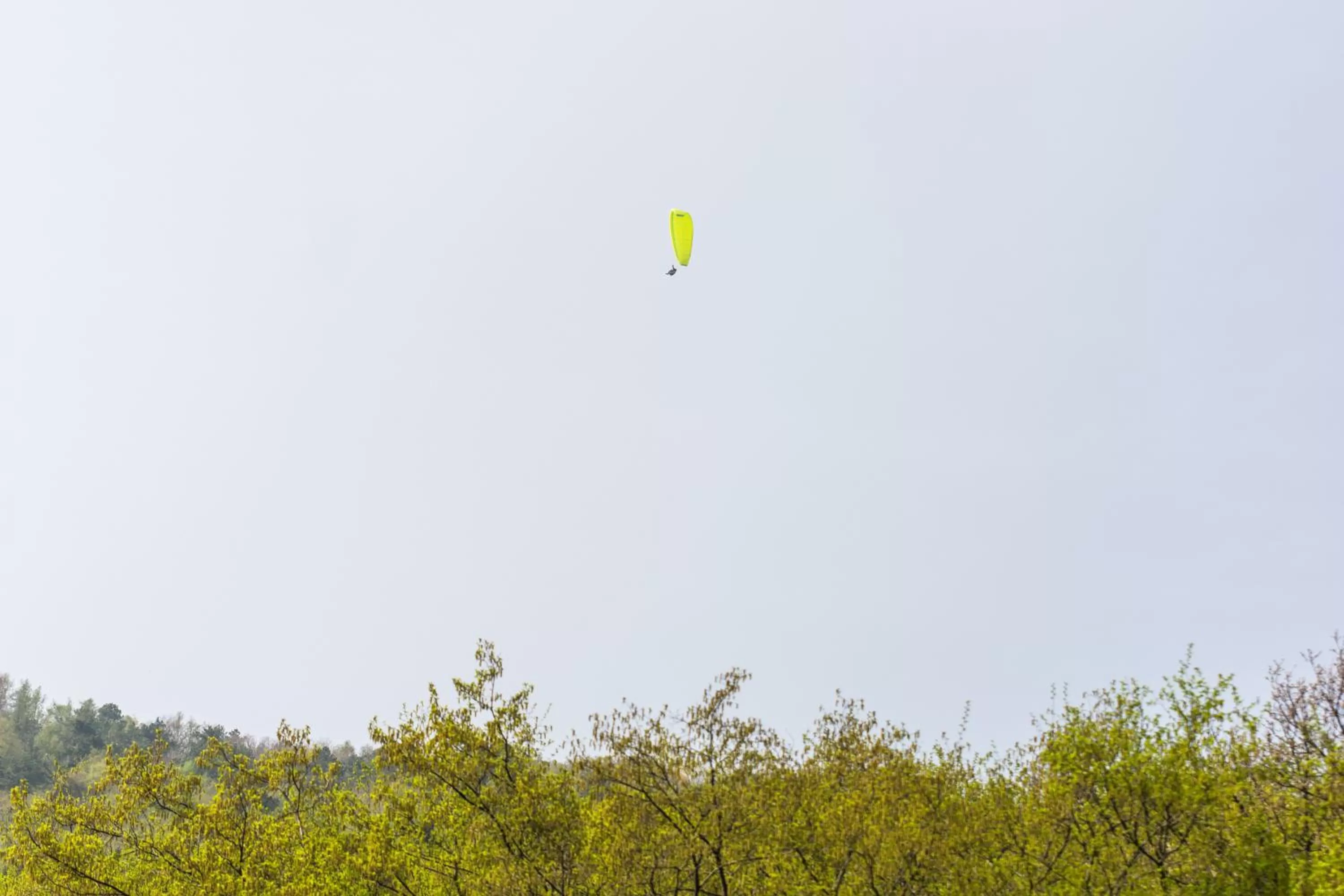 Other Activities in Albergo Dalla Mena