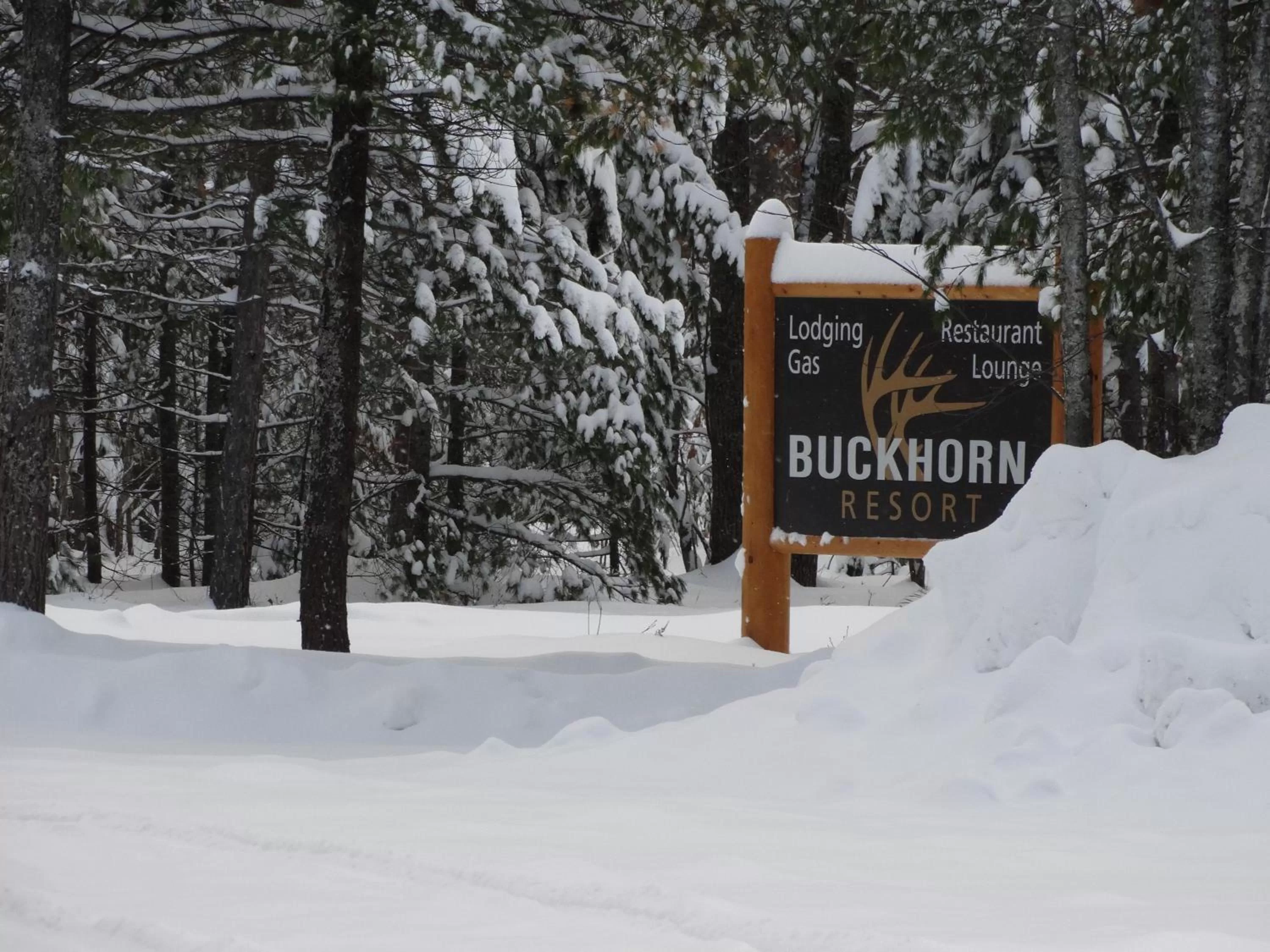 Day in Buckhorn Resort