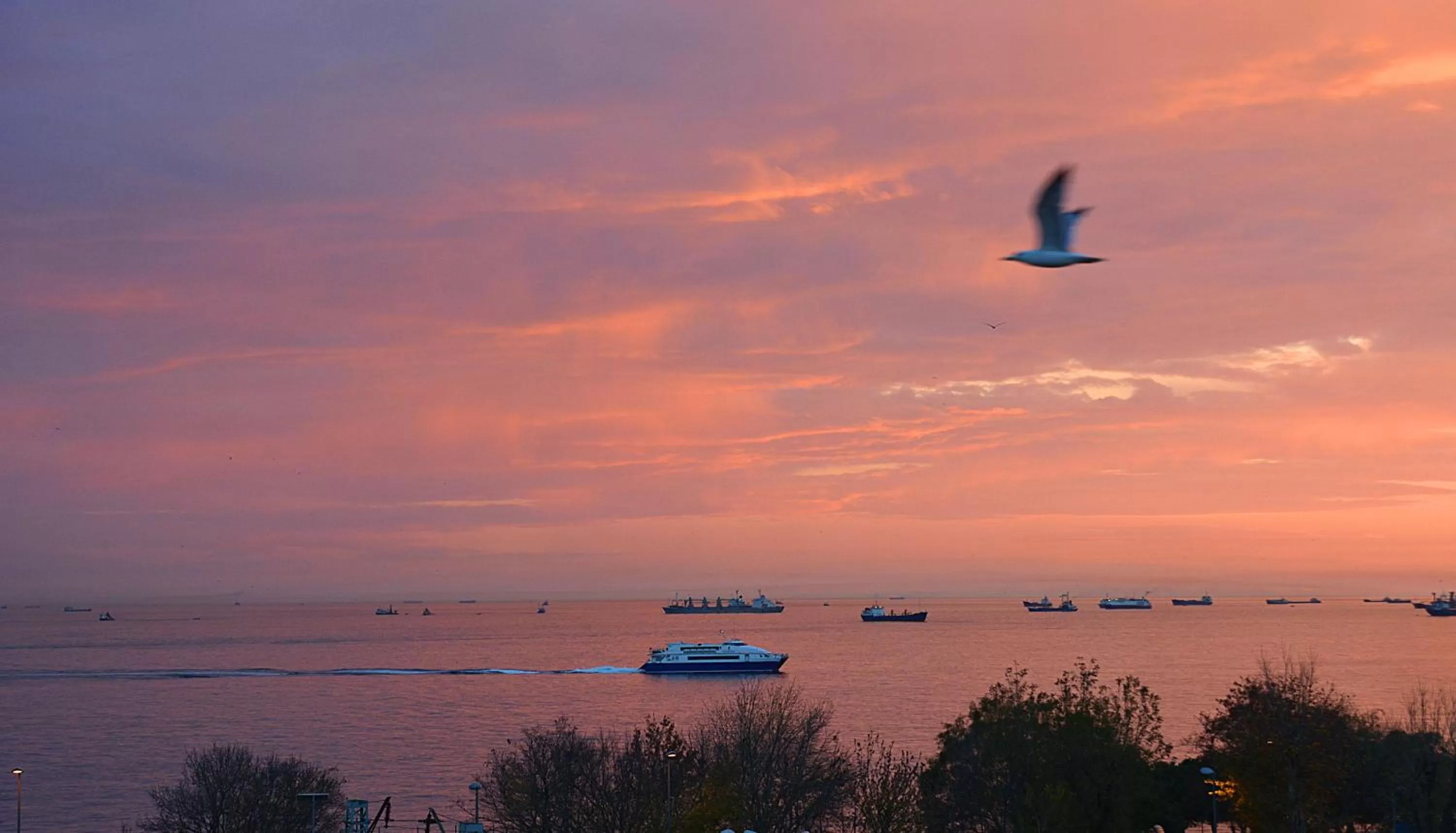 View (from property/room) in Antea Palace Hotel & Spa