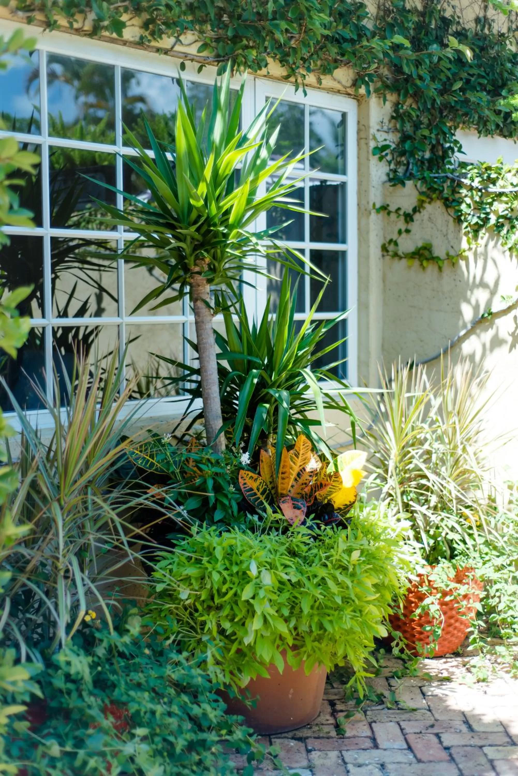 Superior Suite in Hotel Escalante