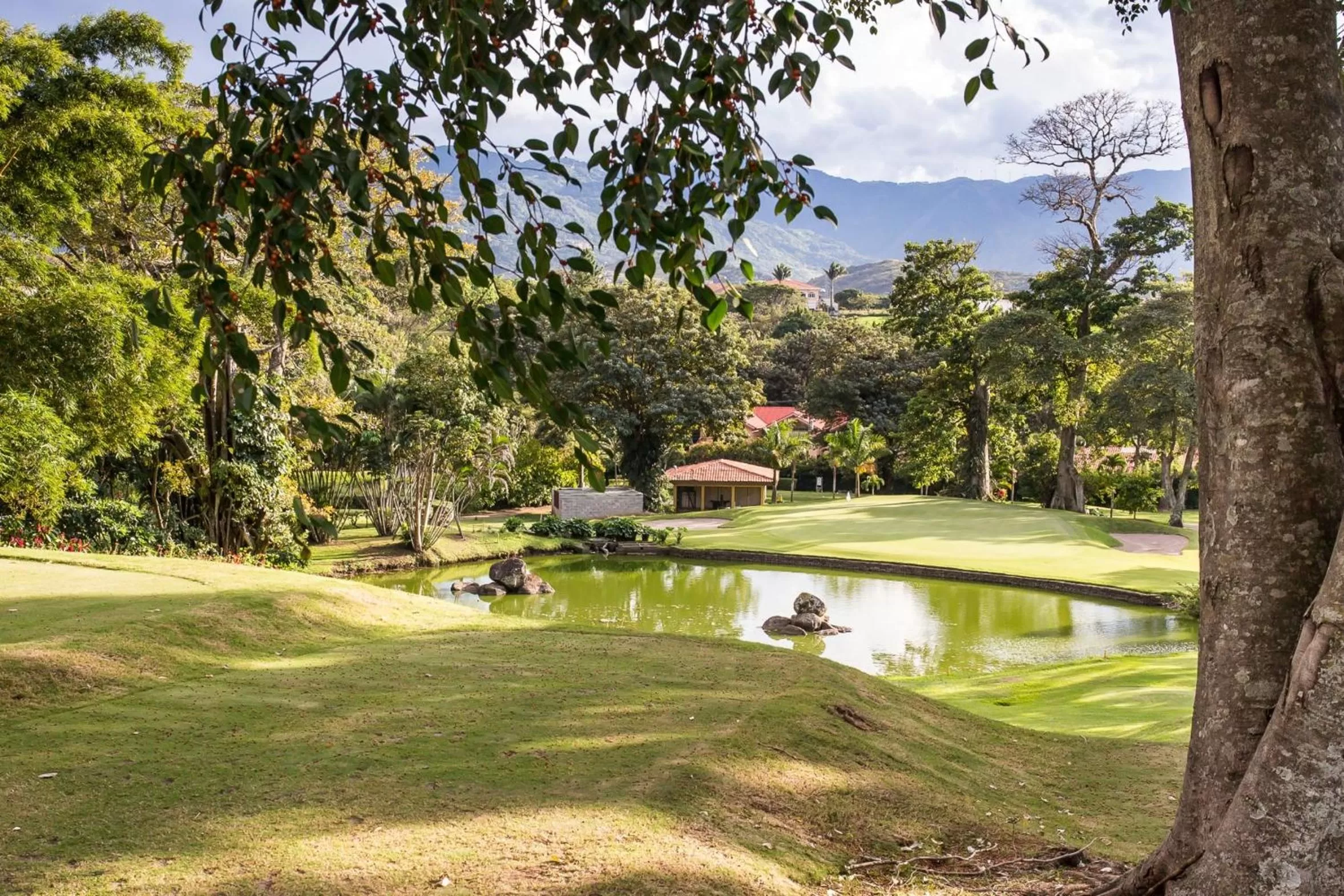 Lake view in Alameda Cariari Boutique Hotel