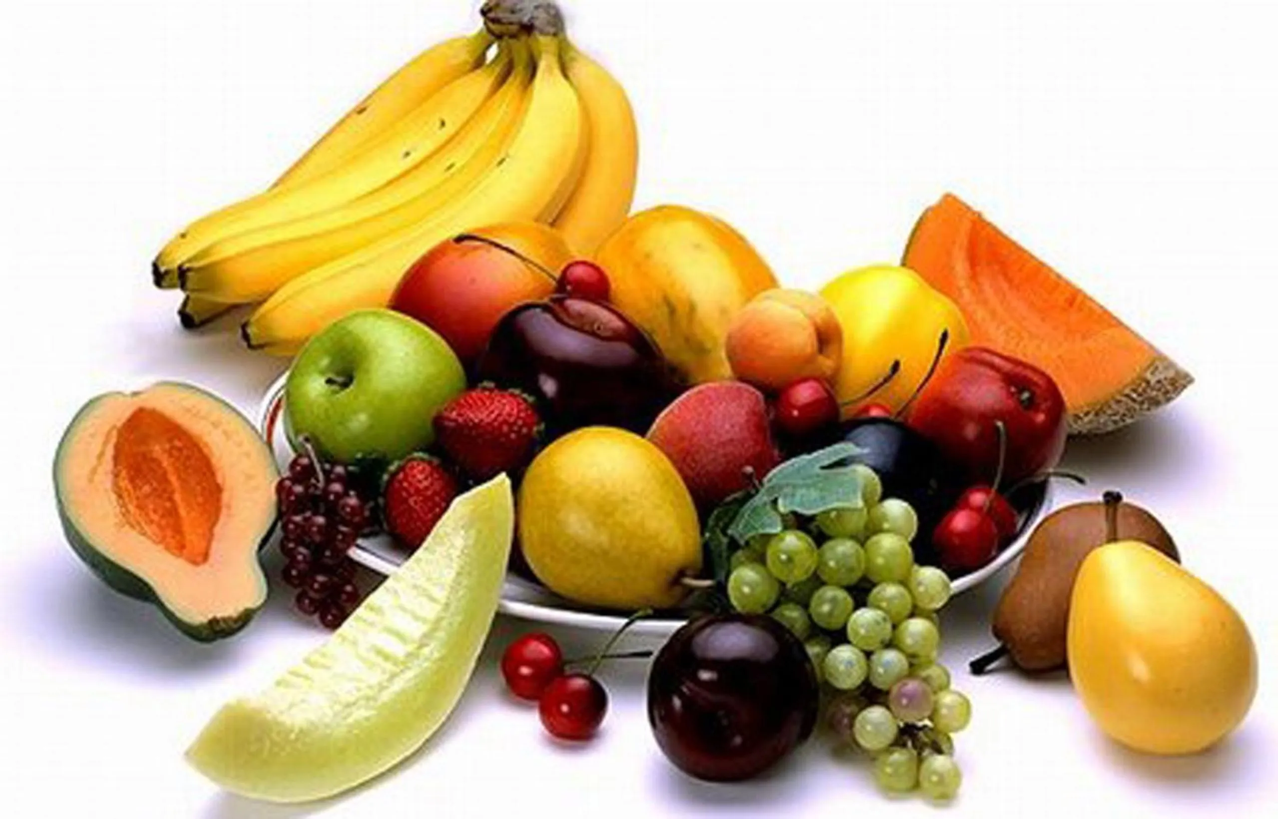 Food and drinks in Hotel Panorama Bologna Centro