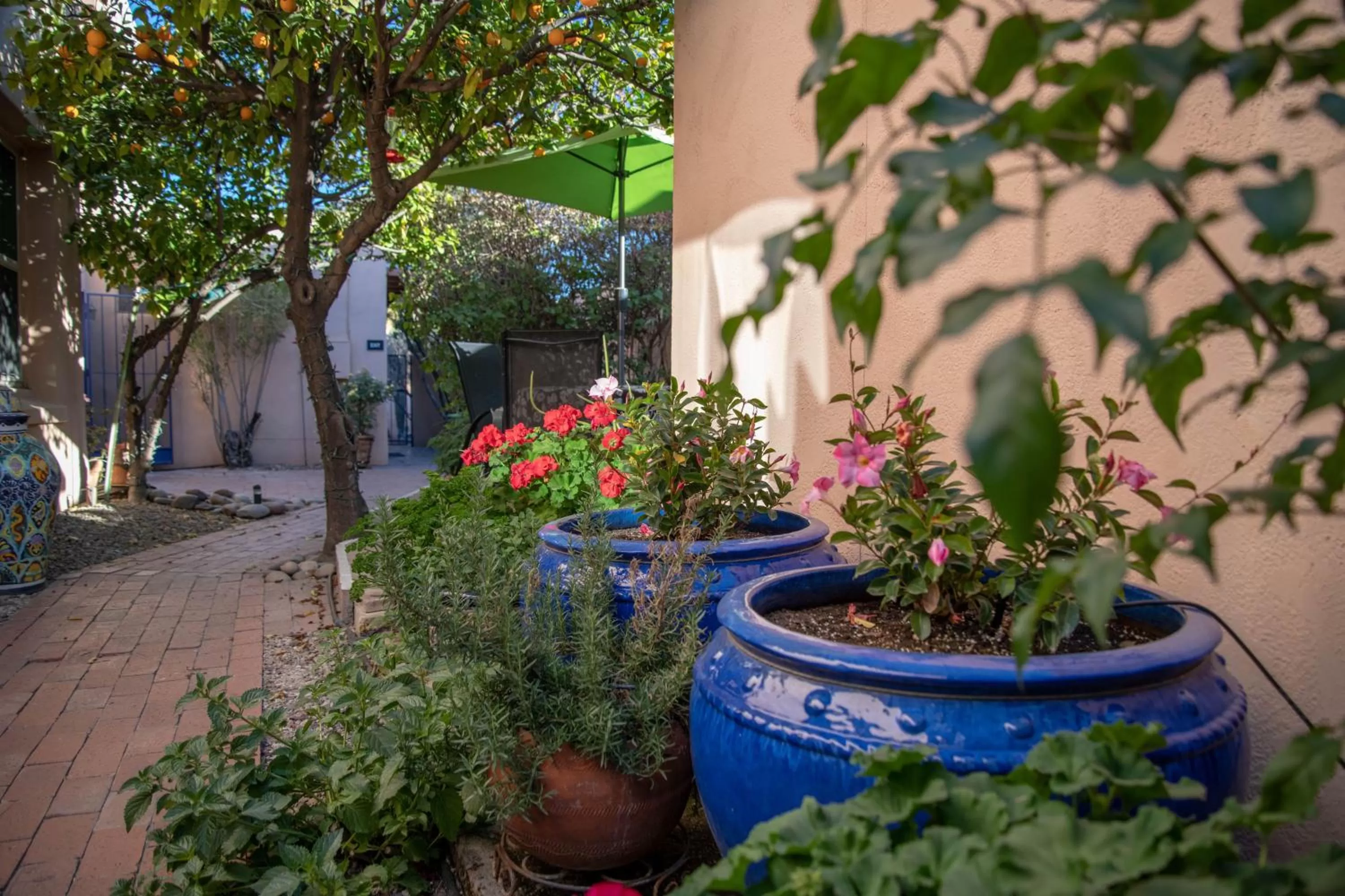 Patio in Adobe Rose Inn