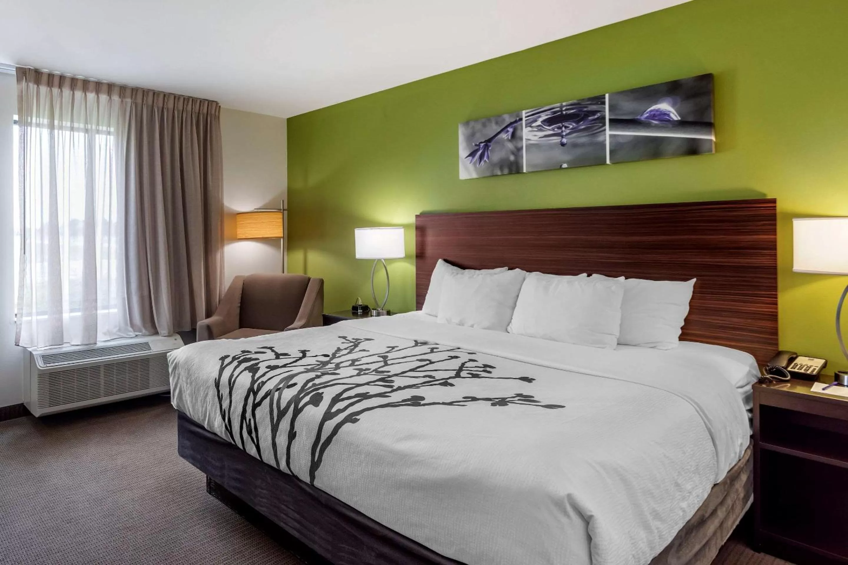 Bedroom in Sleep Inn Bowling Green North