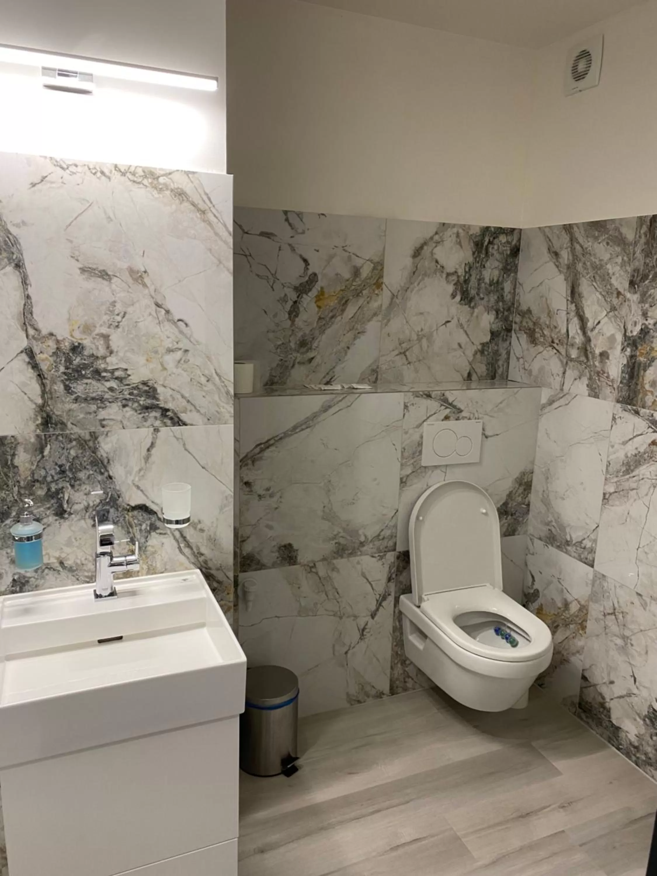 Toilet in Hotel Palác