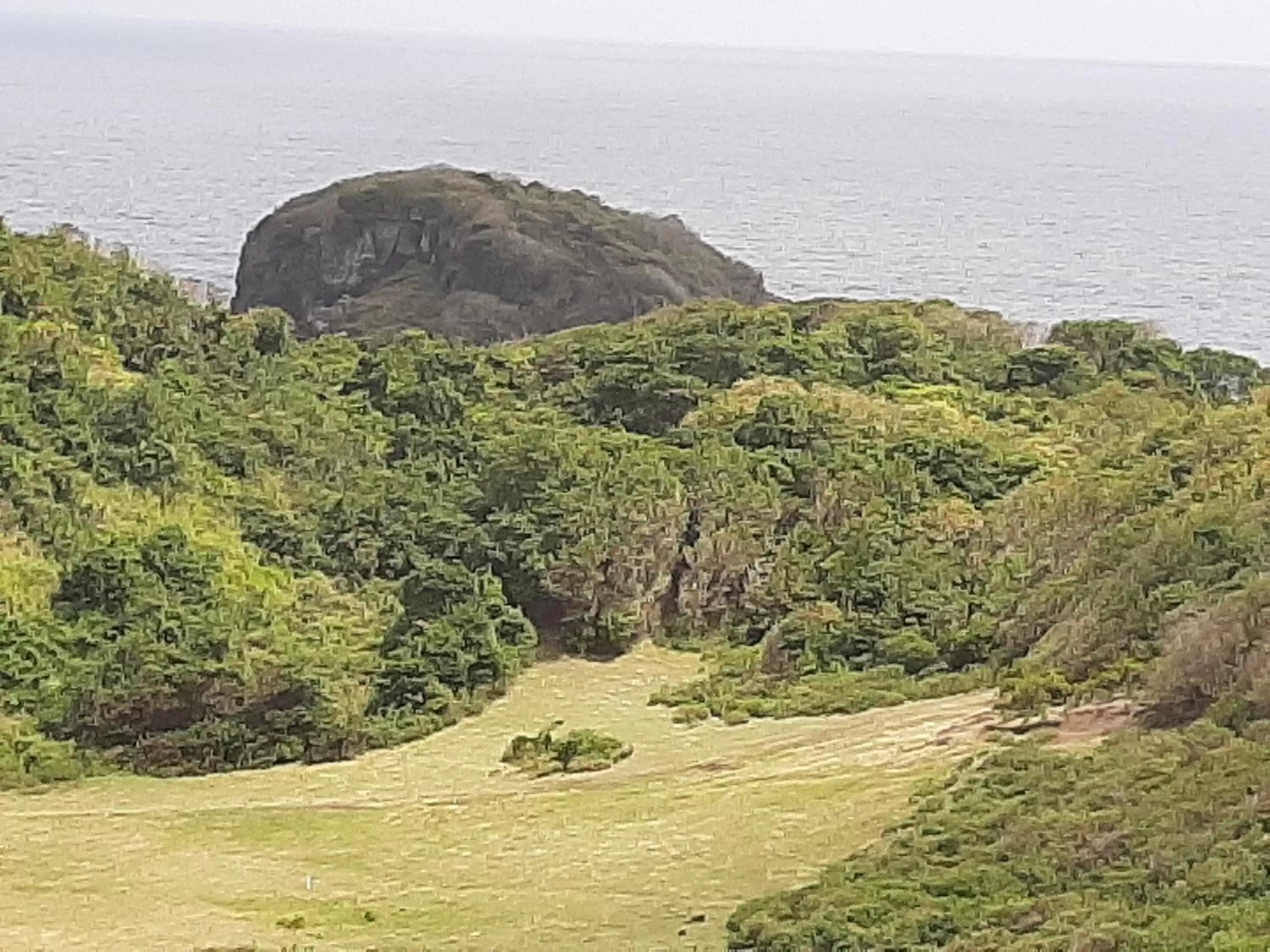 Natural landscape in The Milligan