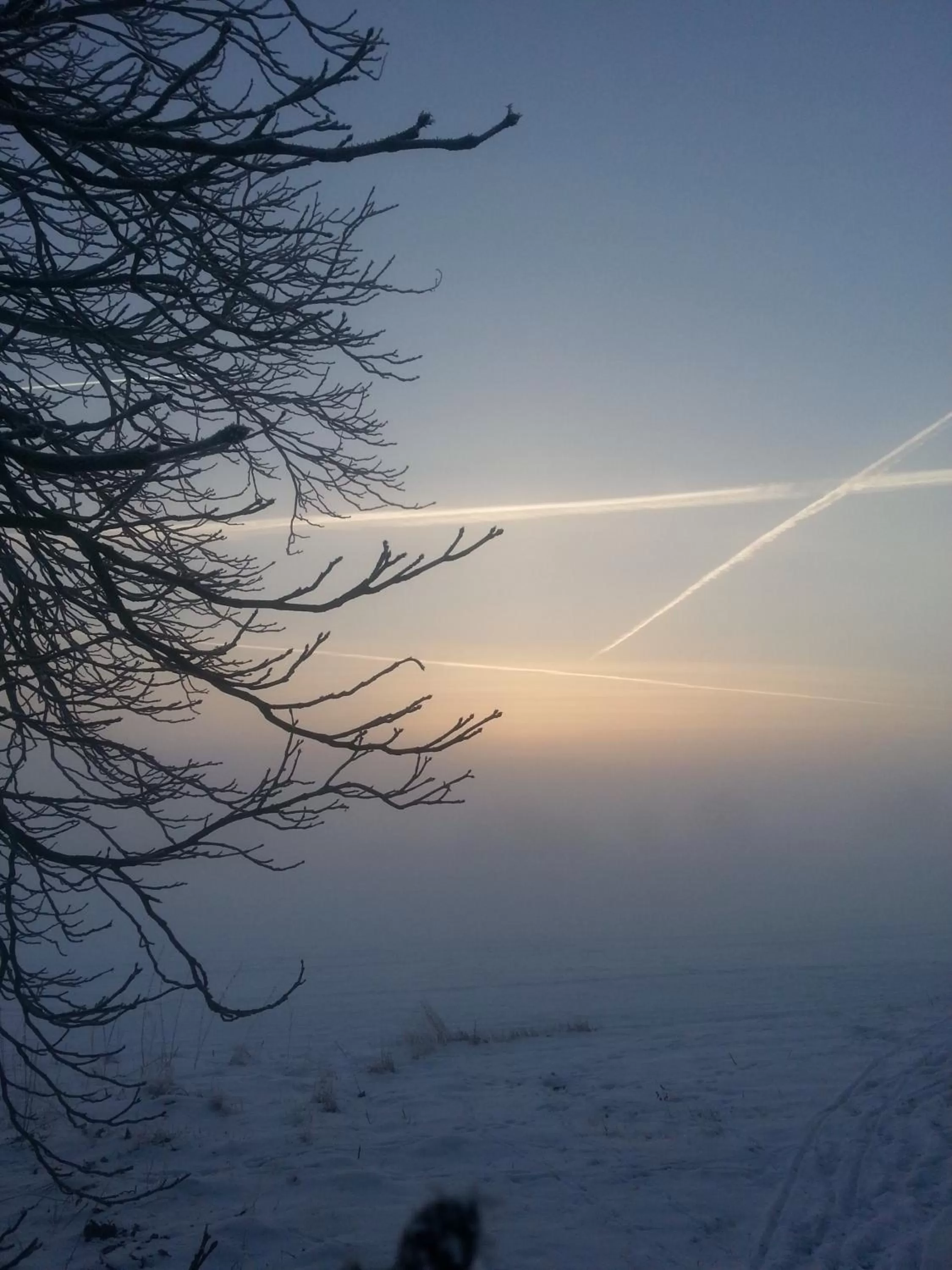 View (from property/room) in Roskilde B&B