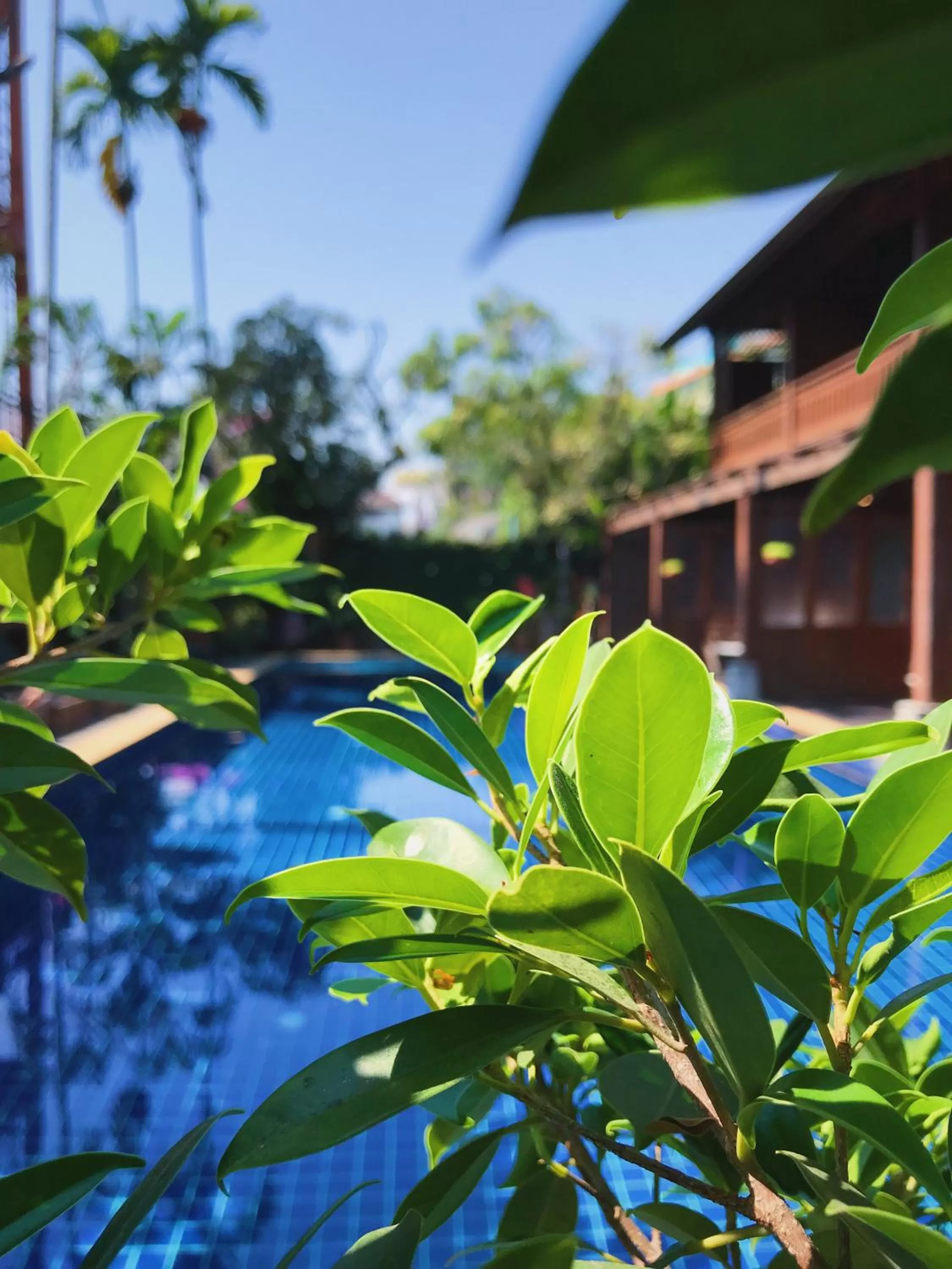 Swimming pool in Baan U Sabai Boutique House-SHA Plus