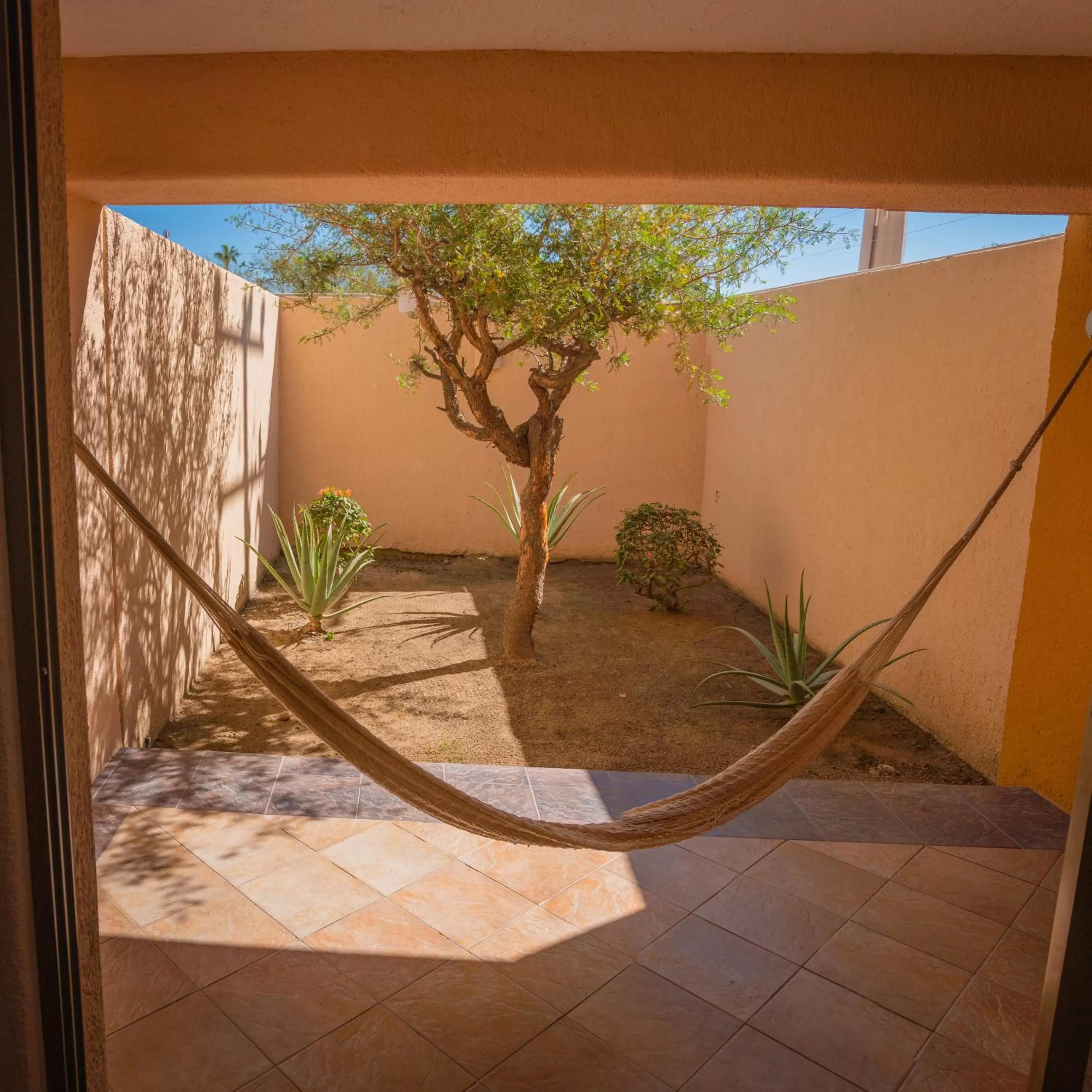 Garden in Hotel Los Patios