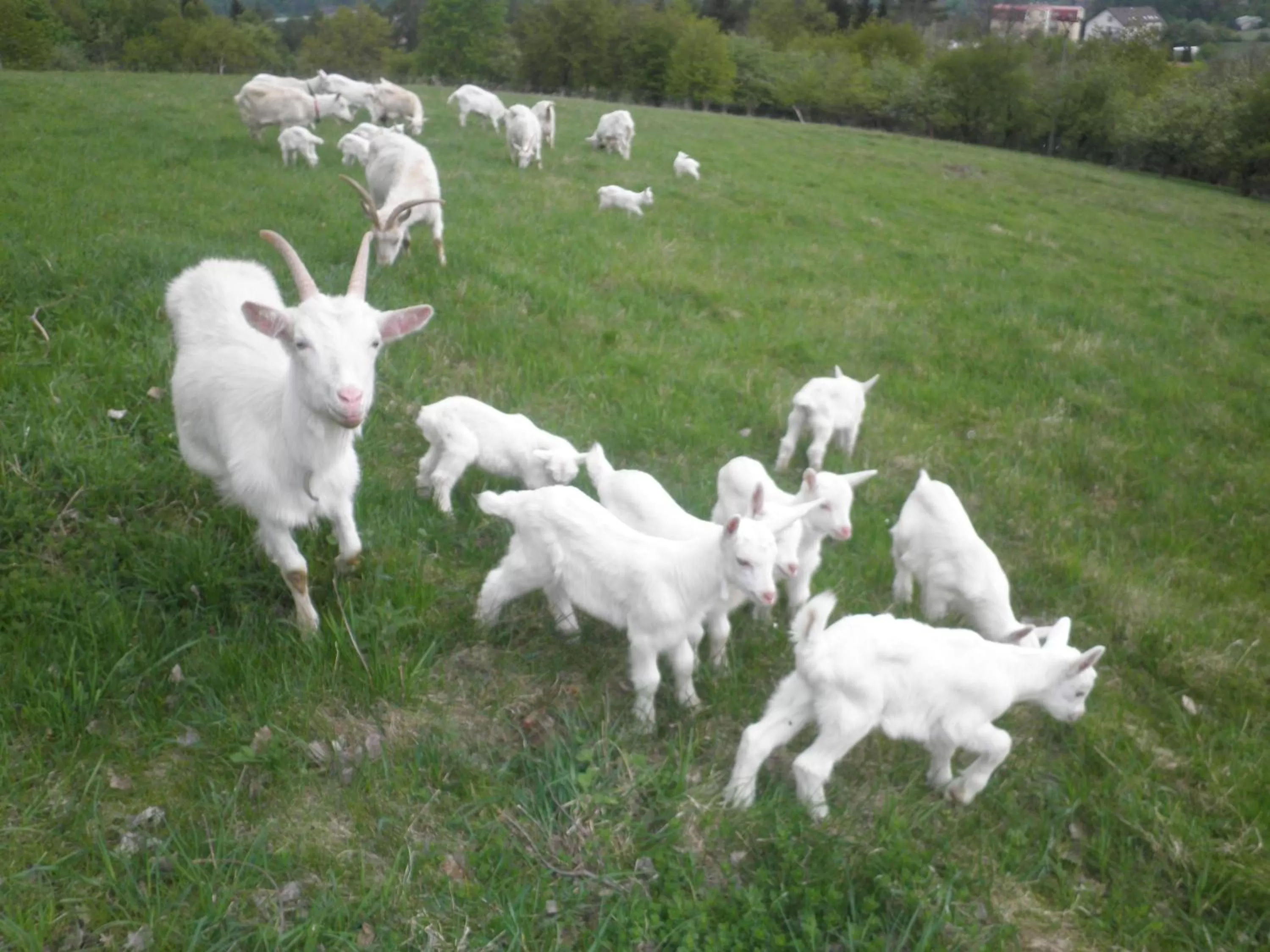 Day in Sport-hotel Šibeniční vrch