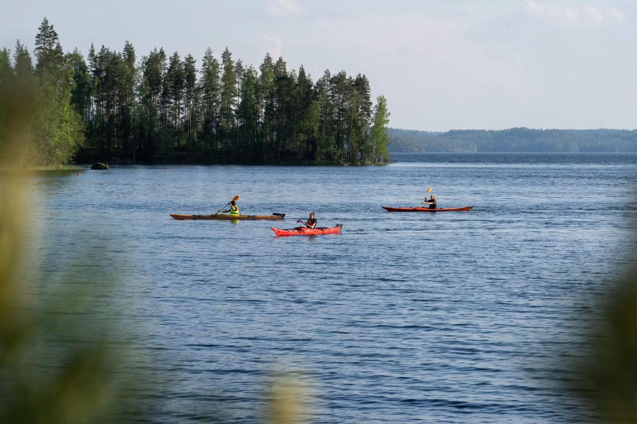 Activities in Olo Center by Kolovesi National Park