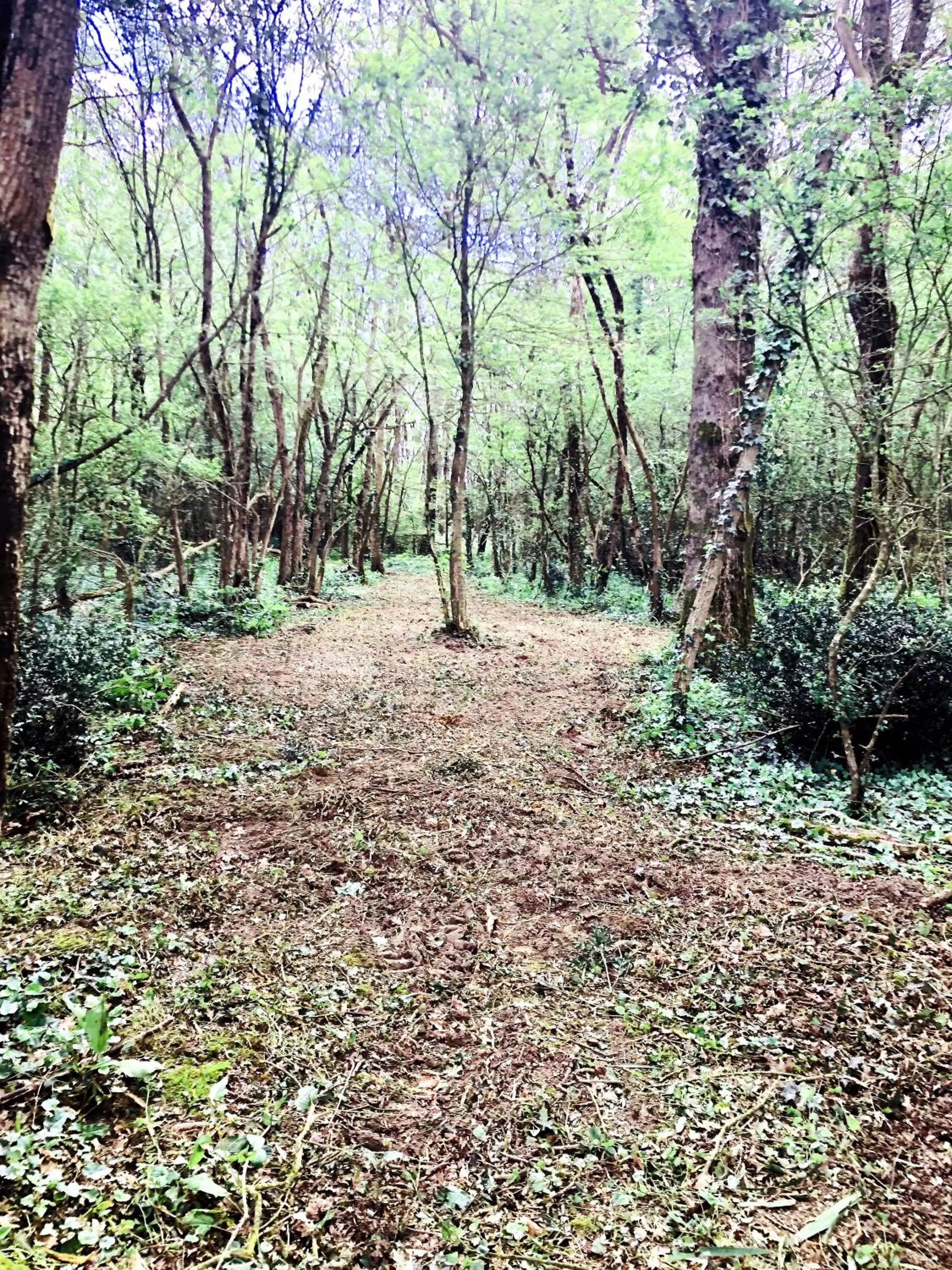 Natural landscape in Hôtel Particulier CHÂTEAU DES MARAIS Proximité et vue sur le Lac de Grand lieu