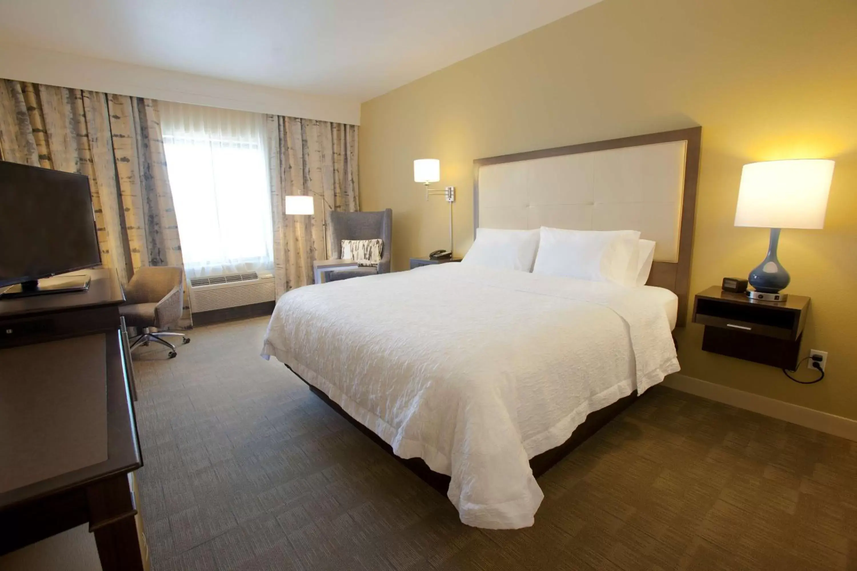 King Room with King Bed - Non-Smoking in Hampton Inn & Suites Nampa at the Idaho Center King Room with King Bed - Non-Smoking in Hampton Inn & Suites Nampa at the Idaho Center