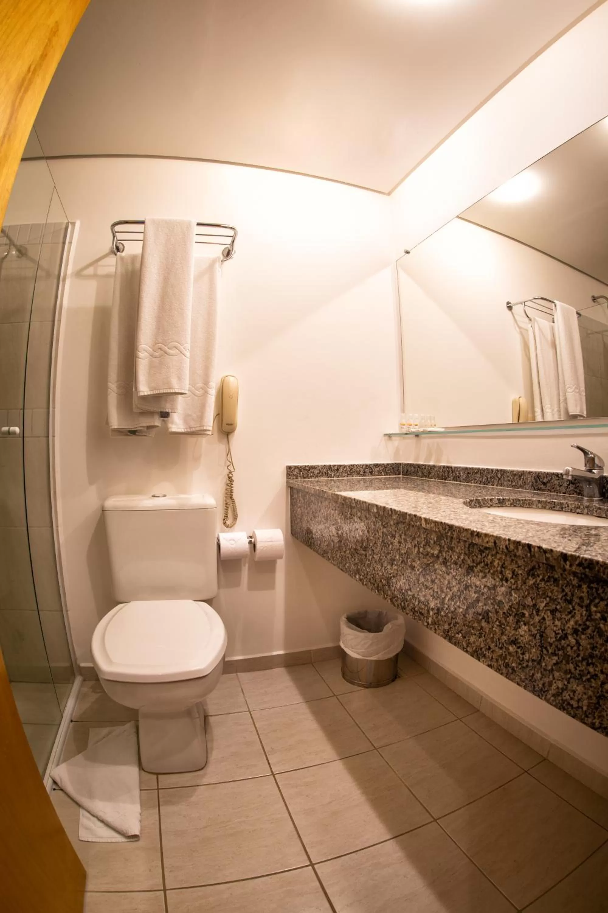 Toilet in Hotel Campo Largo Express