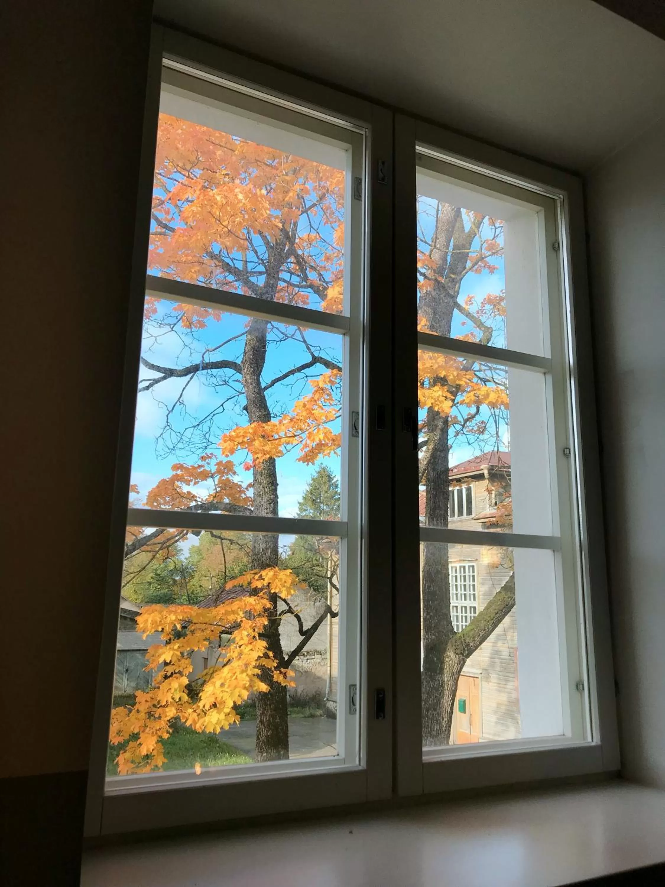 Garden view, View in Villa Wesenbergh