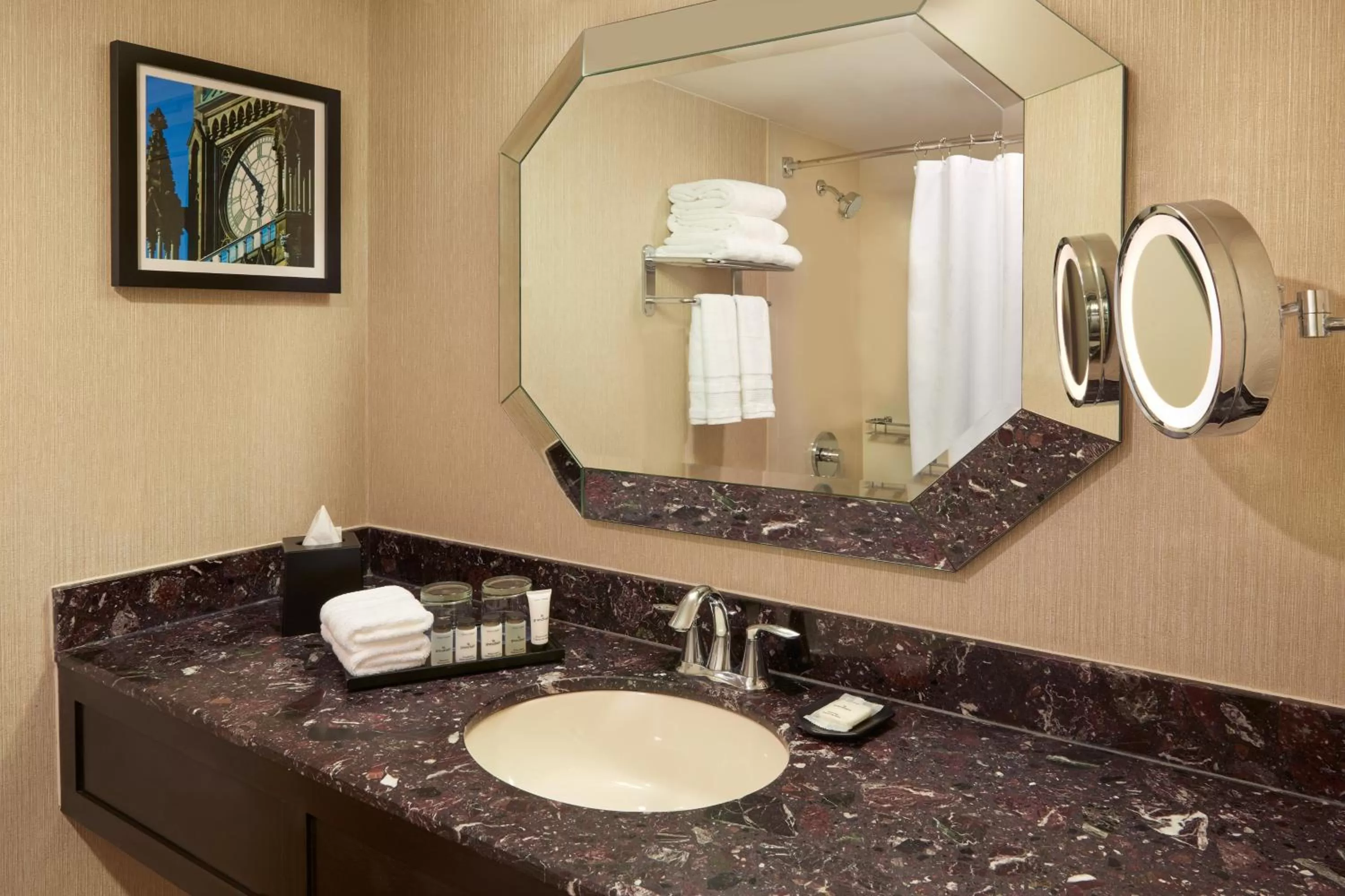 Bathroom in Sheraton Ottawa Hotel