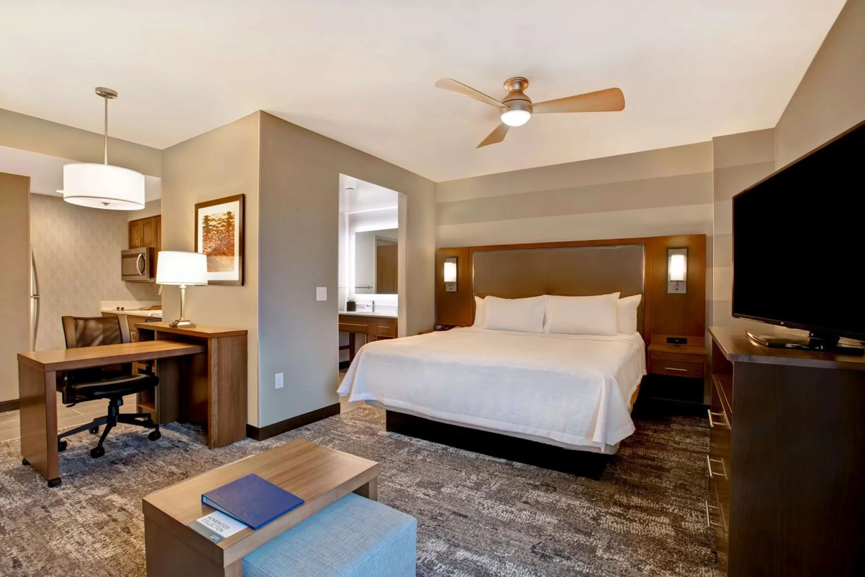 King Studio Suite - Non Smoking in Homewood Suites By Hilton Summerville