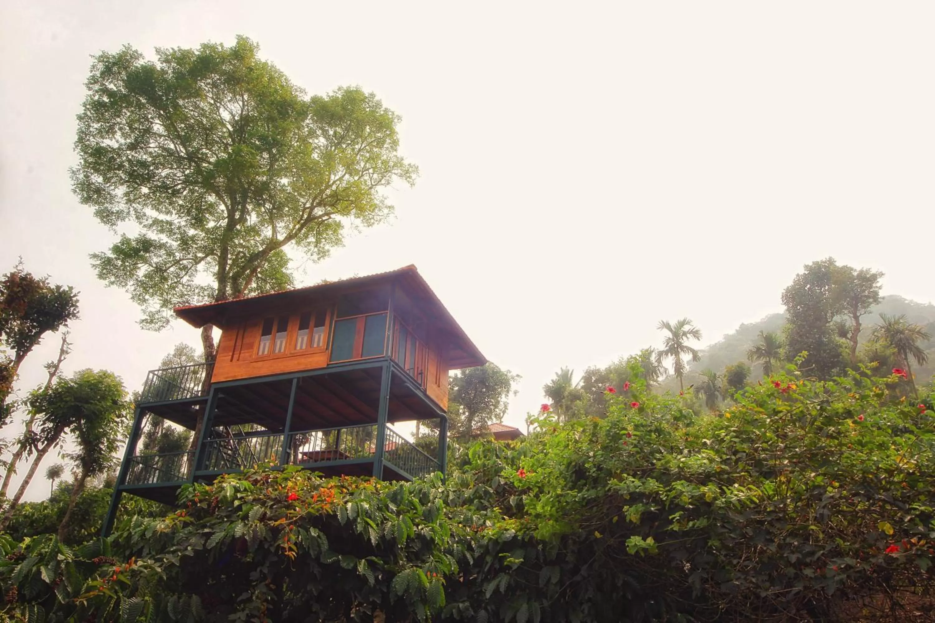 Facade/entrance, Property Building in Marmalade Springs Resort Wayanad