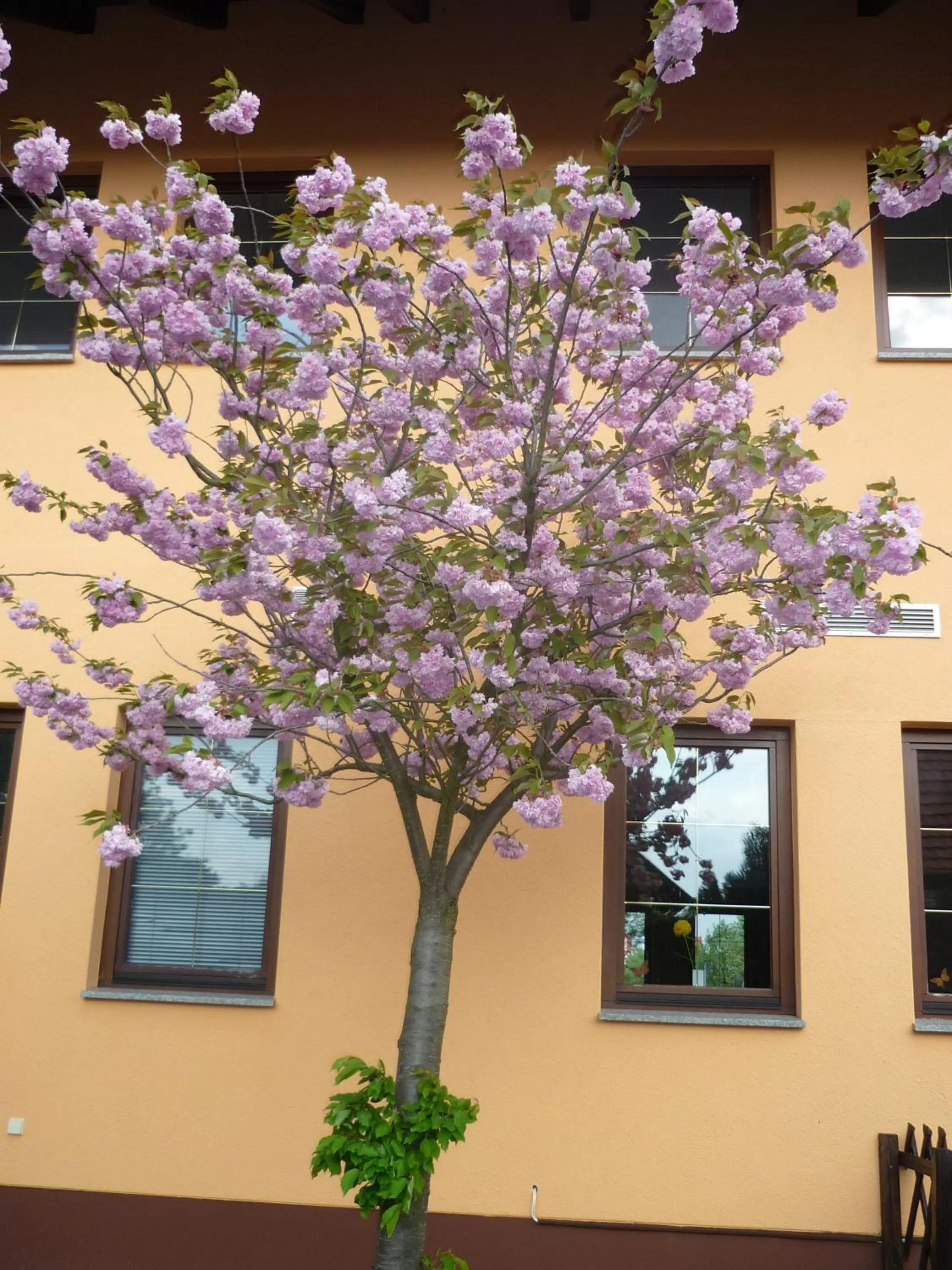 Facade/entrance, TV/Entertainment Center in Willmersdorfer Hof