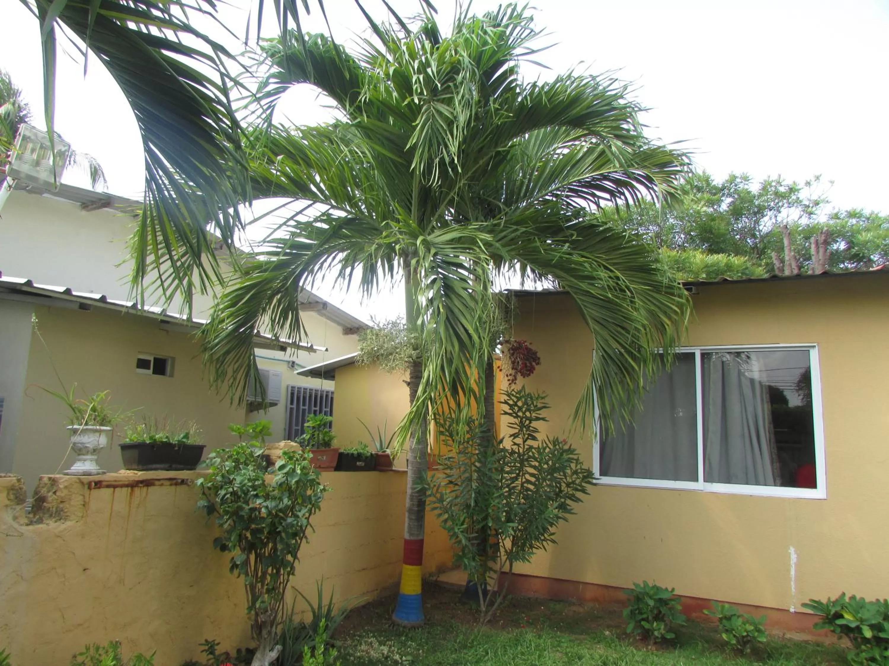 Property Building in Posada Hostal Miss Marlly