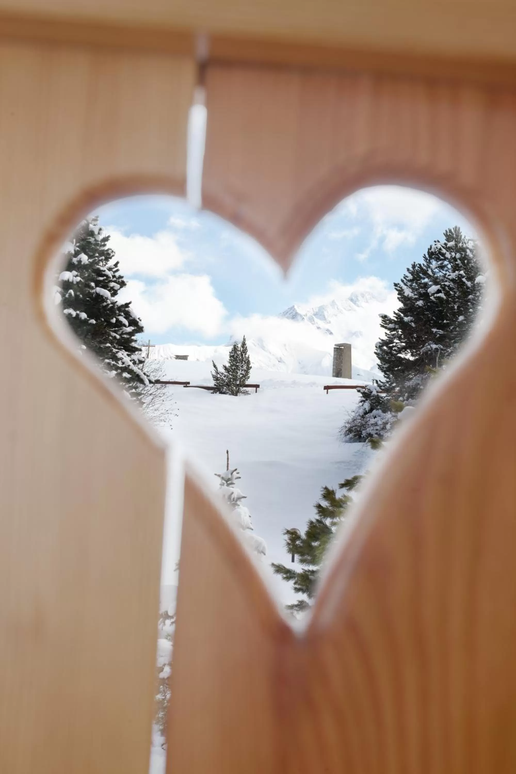 Winter in Hôtel Chalet Mounier