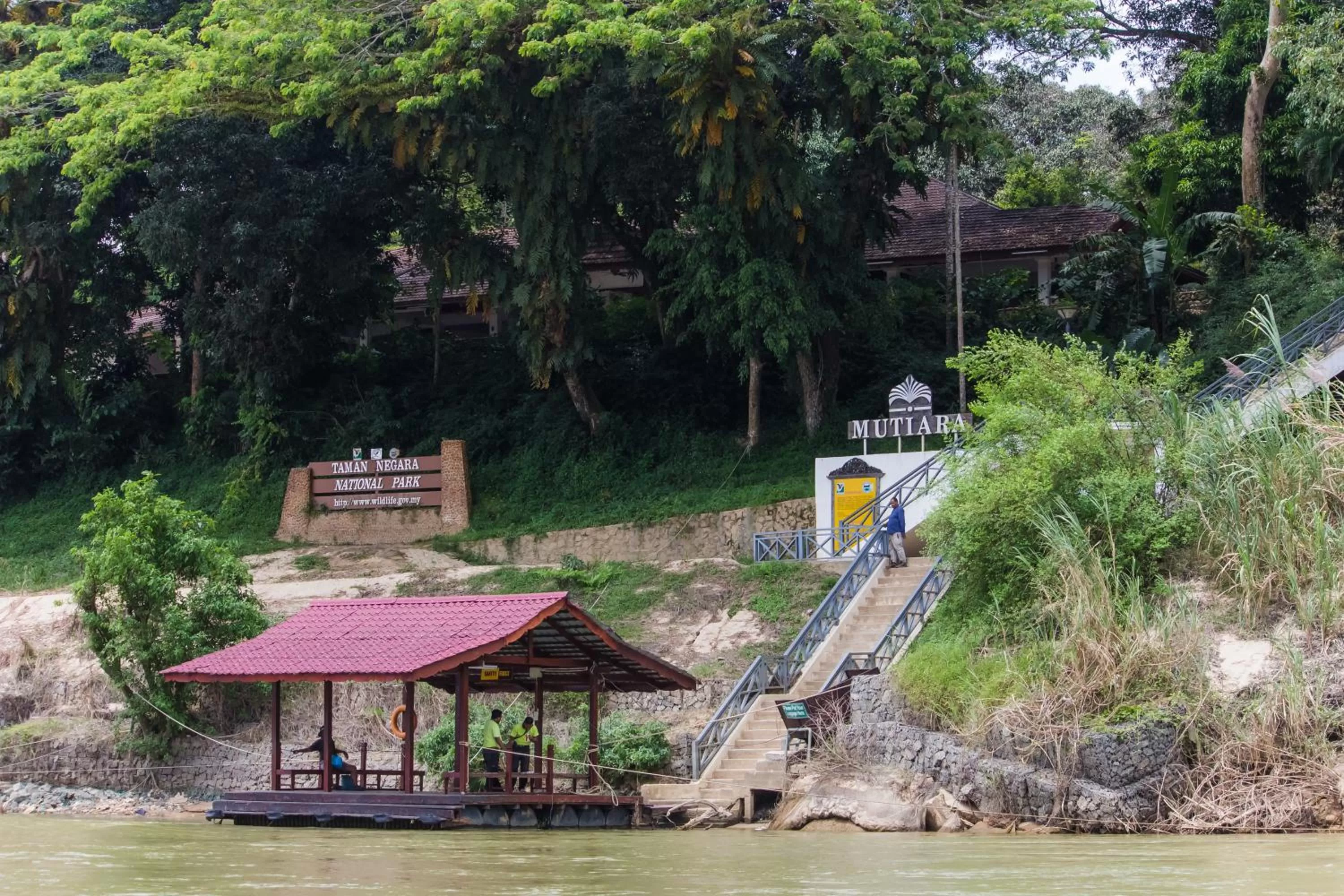 Beach in Mutiara Taman Negara