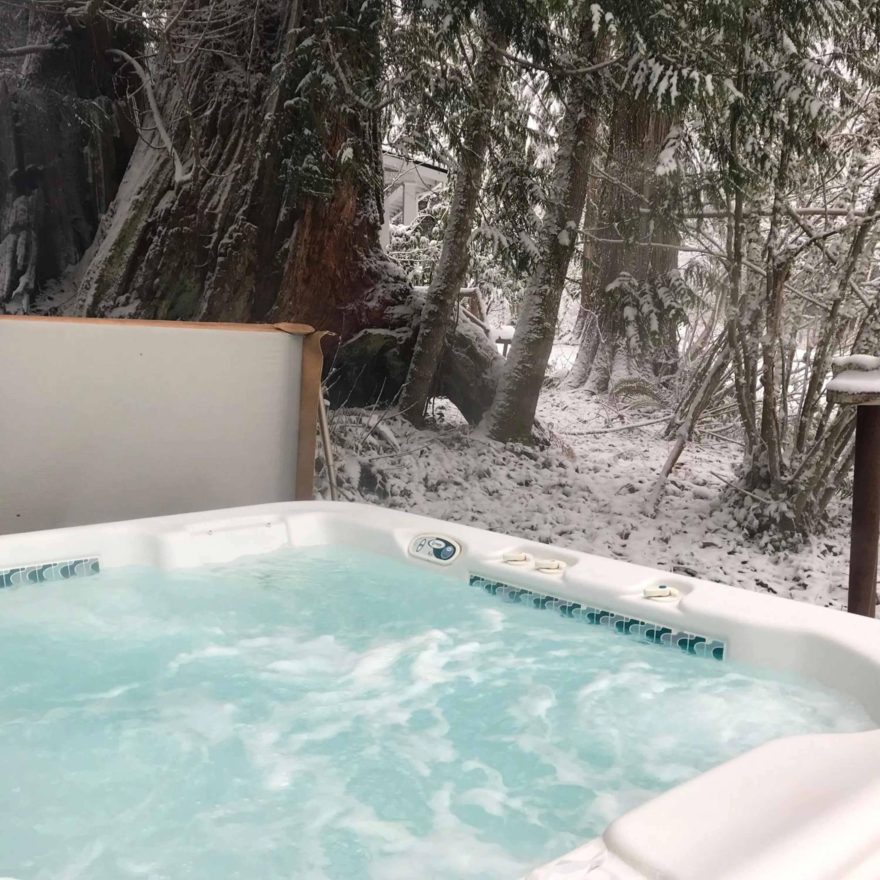 Hot Tub in Mountain Meadows Inn & Chalet Suites